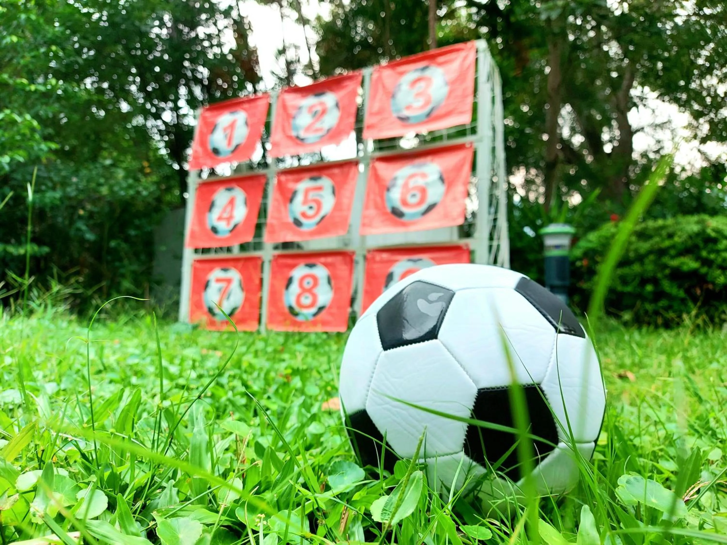 Activities in Silvermine Beach Resort