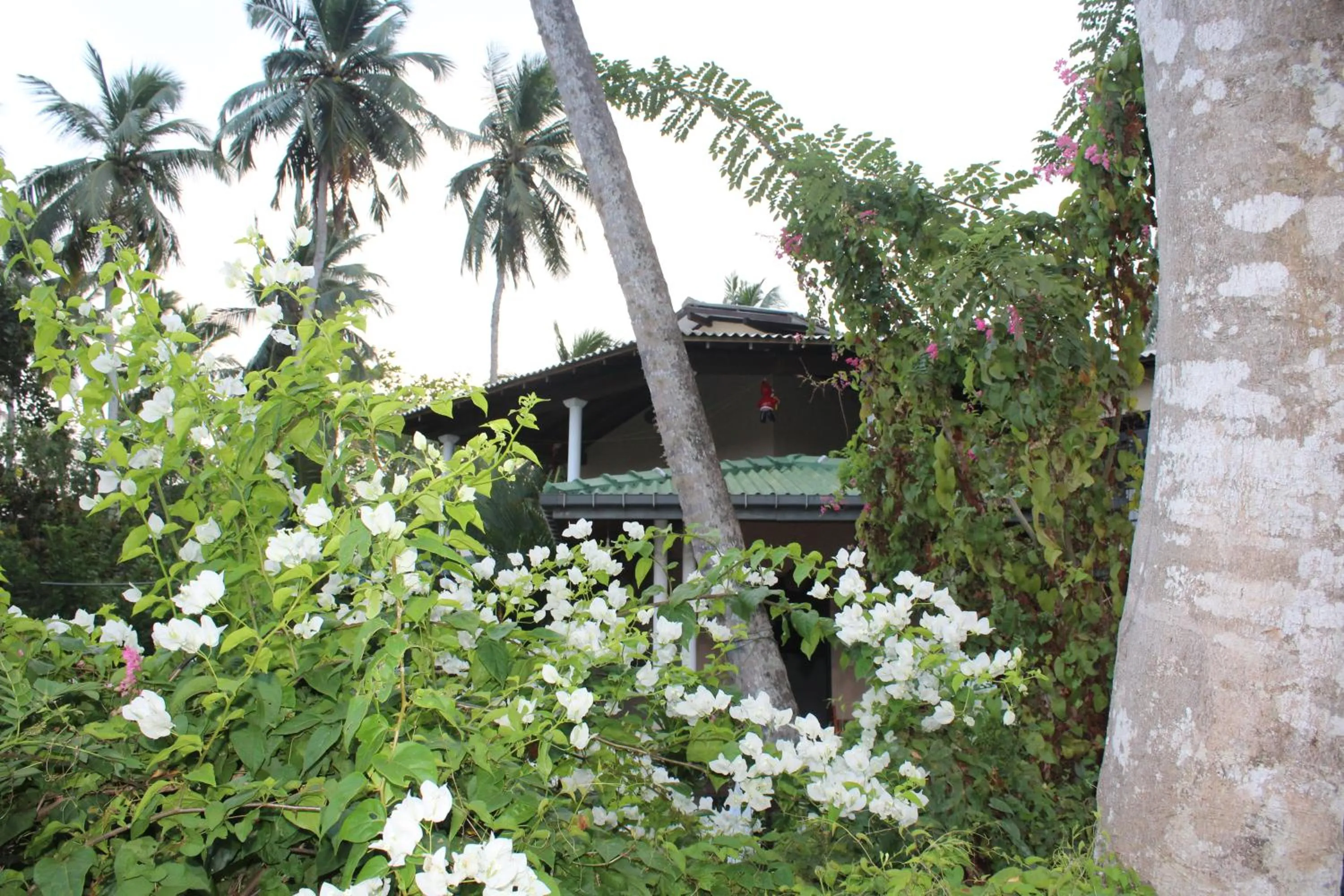 Garden in All View Resort