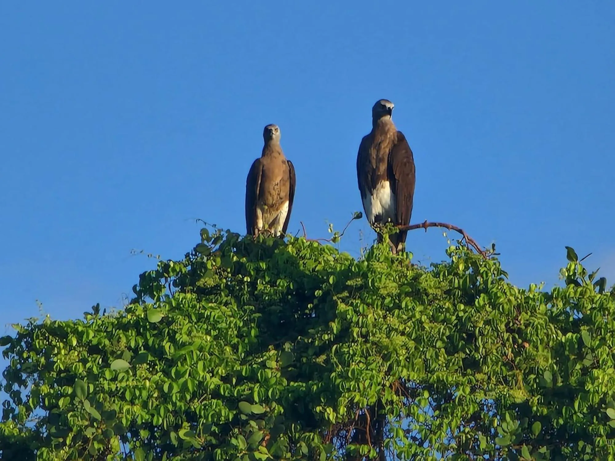 Nearby landmark in All View Resort