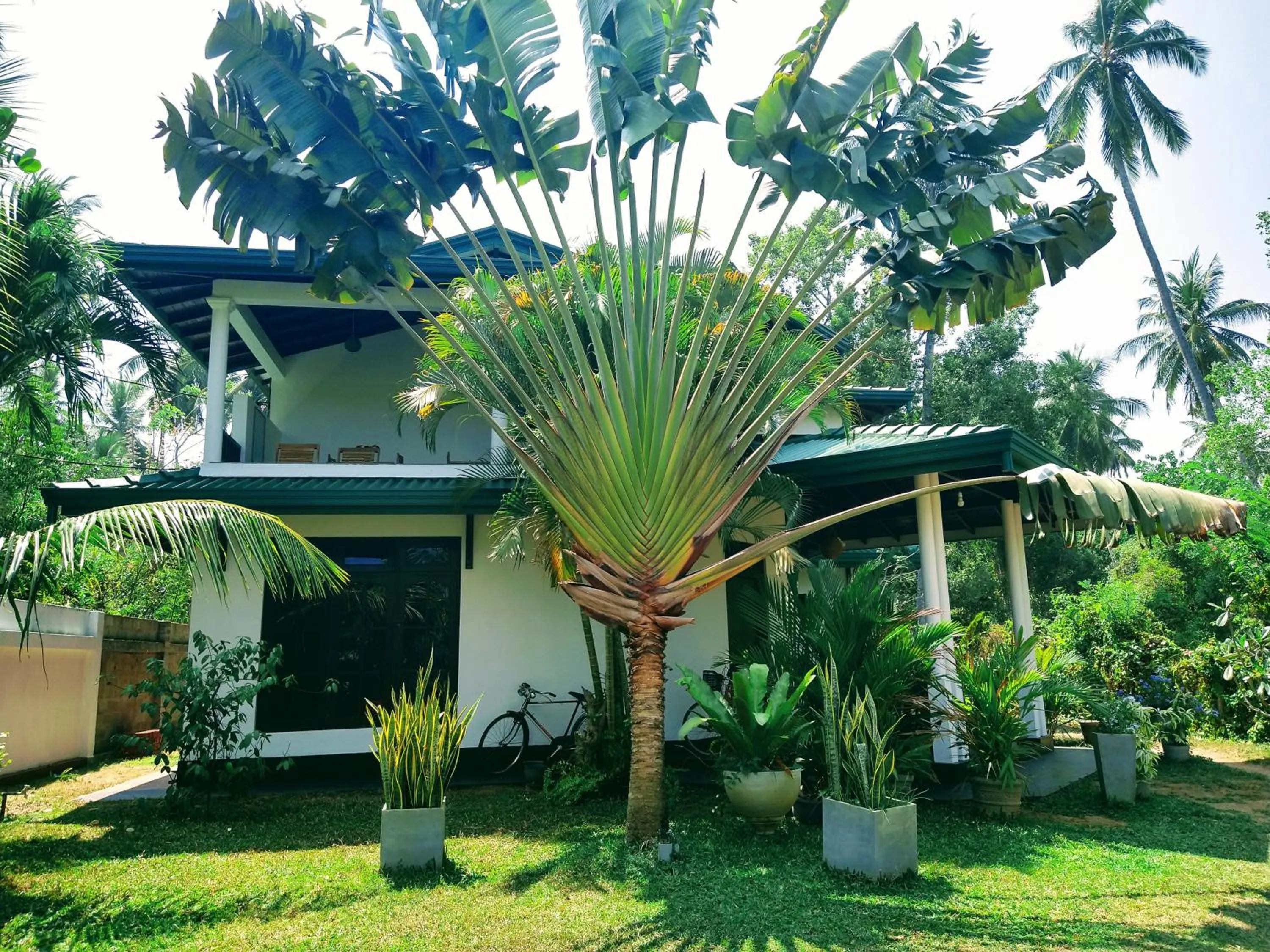 Property building in All View Resort