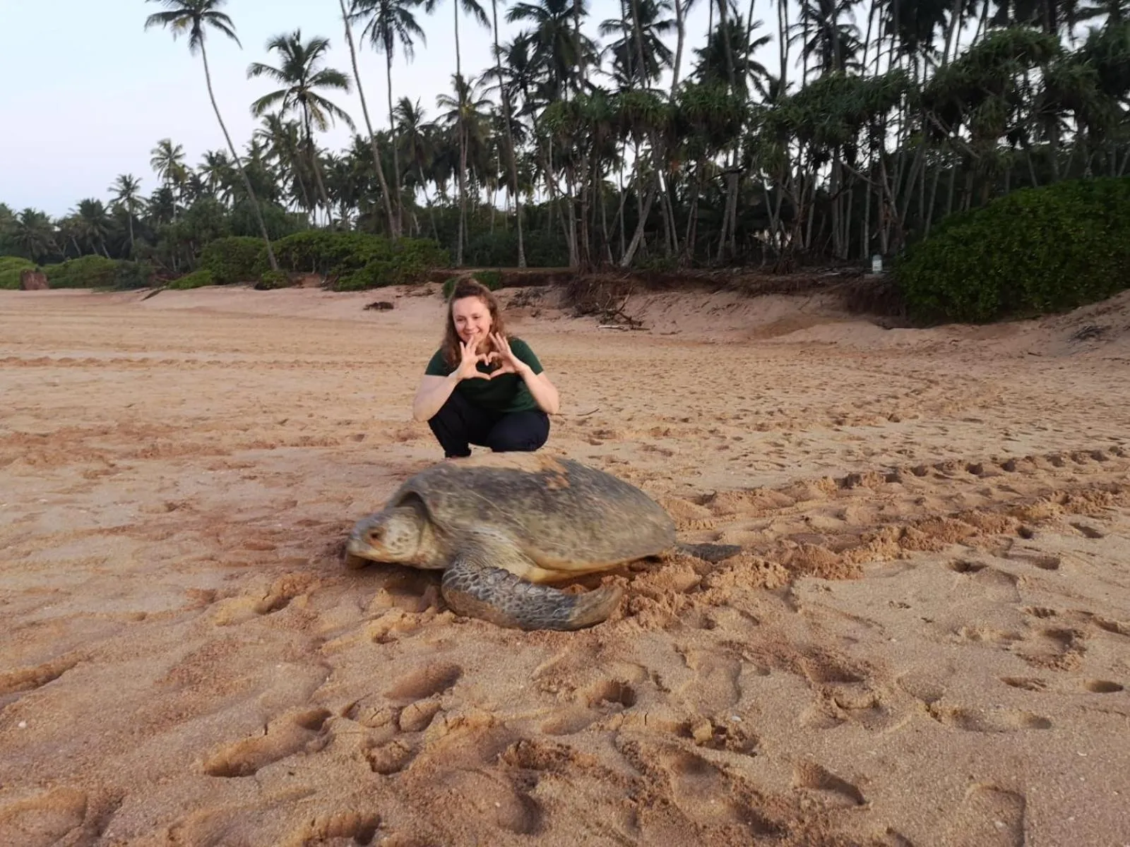 People in All View Resort