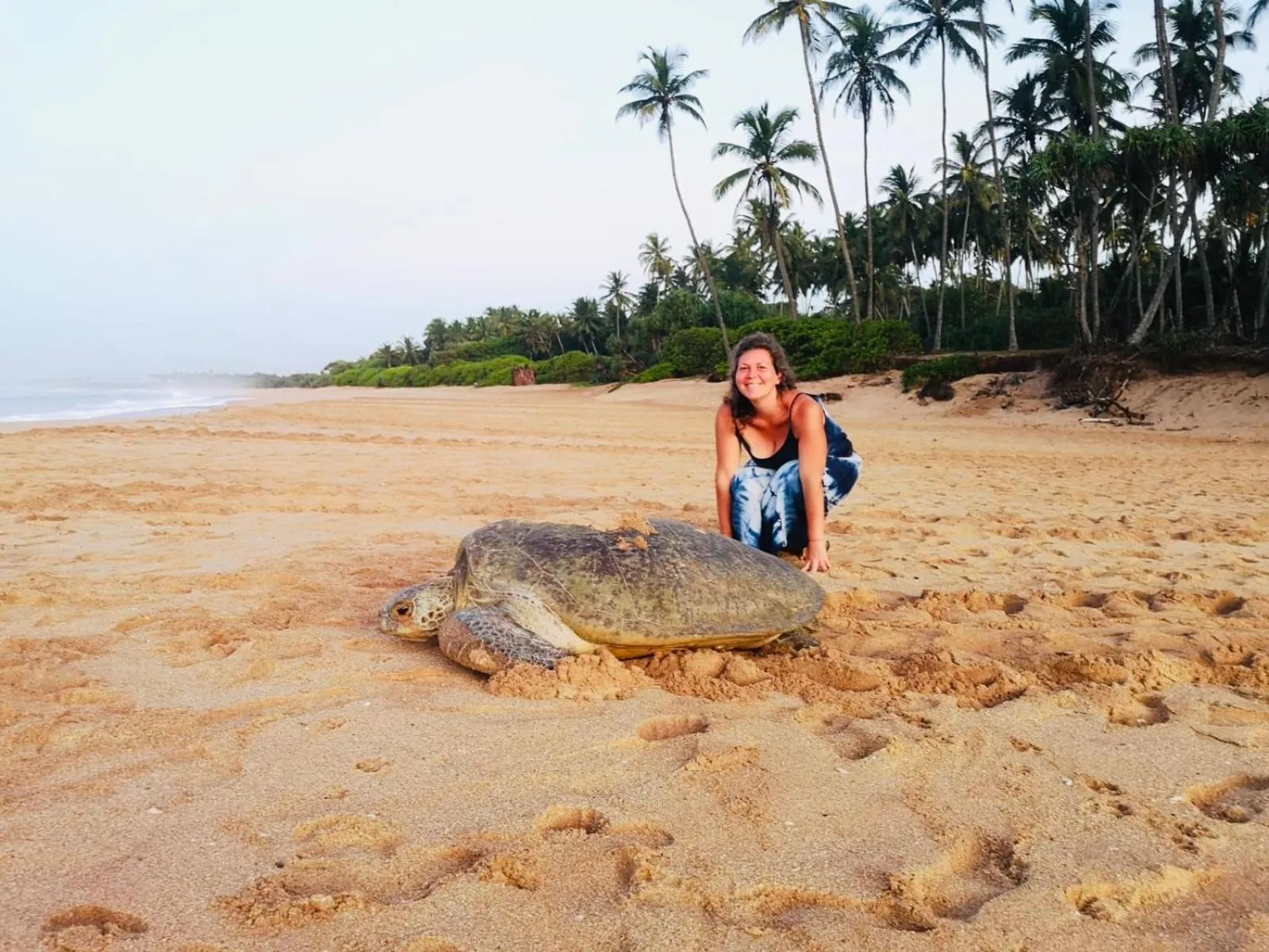 Property building in All View Resort