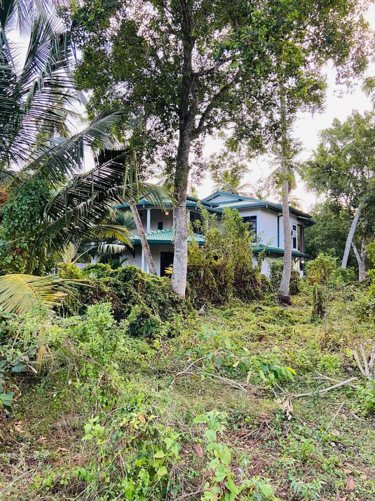 Property building in All View Resort