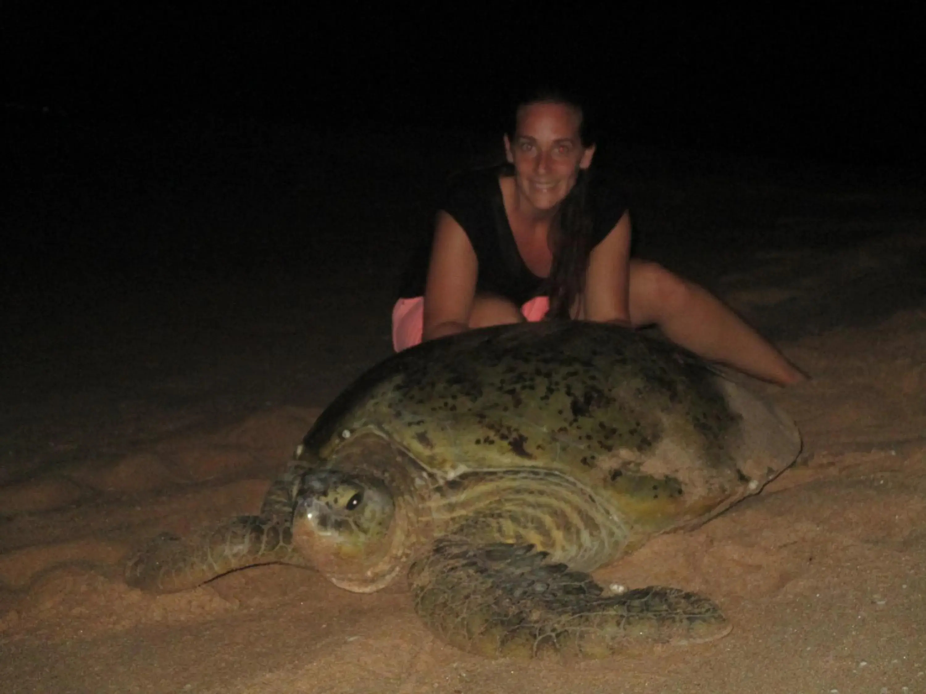 All View Resort All View Resort