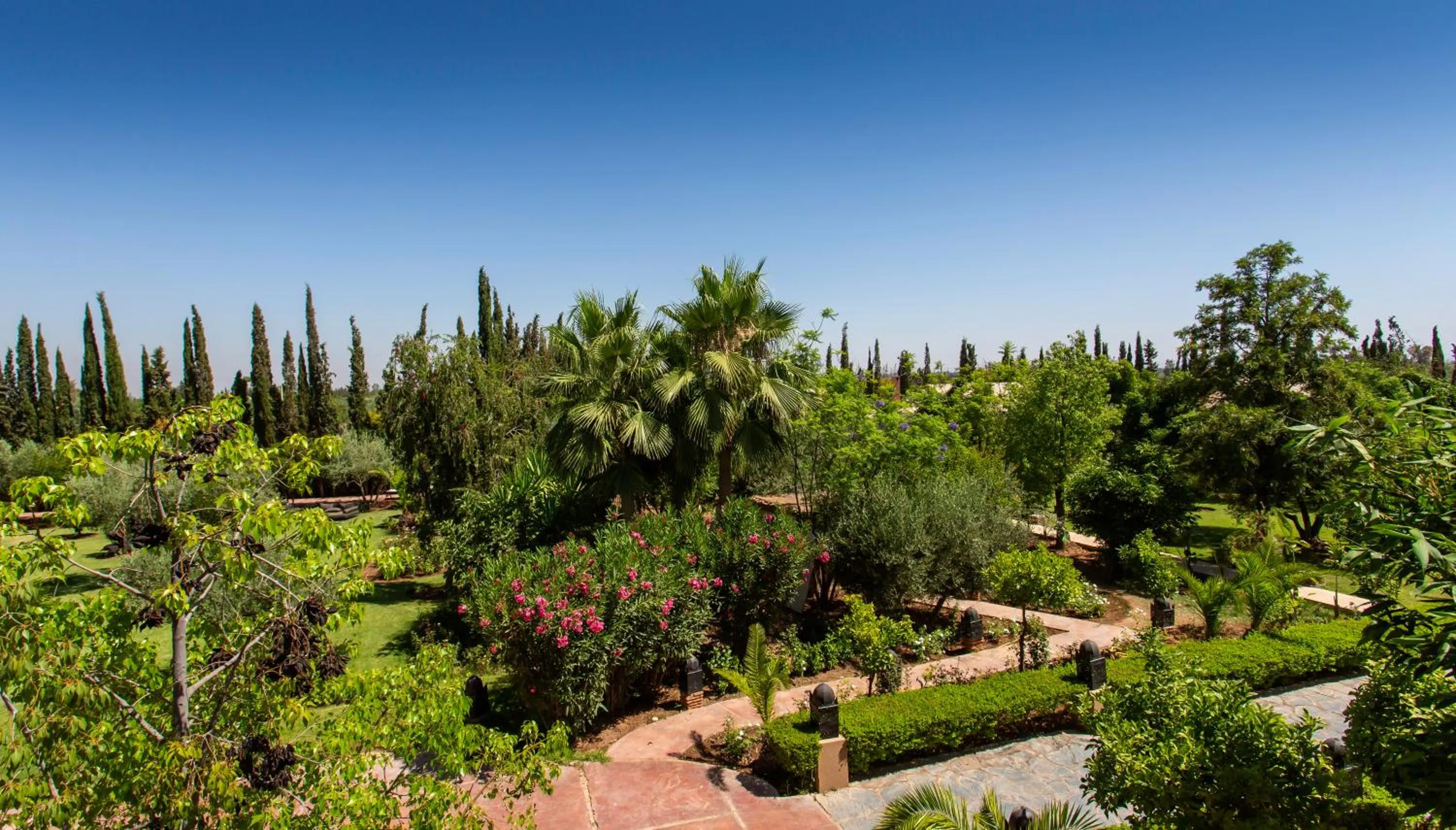Garden in Riad Jawad & Spa
