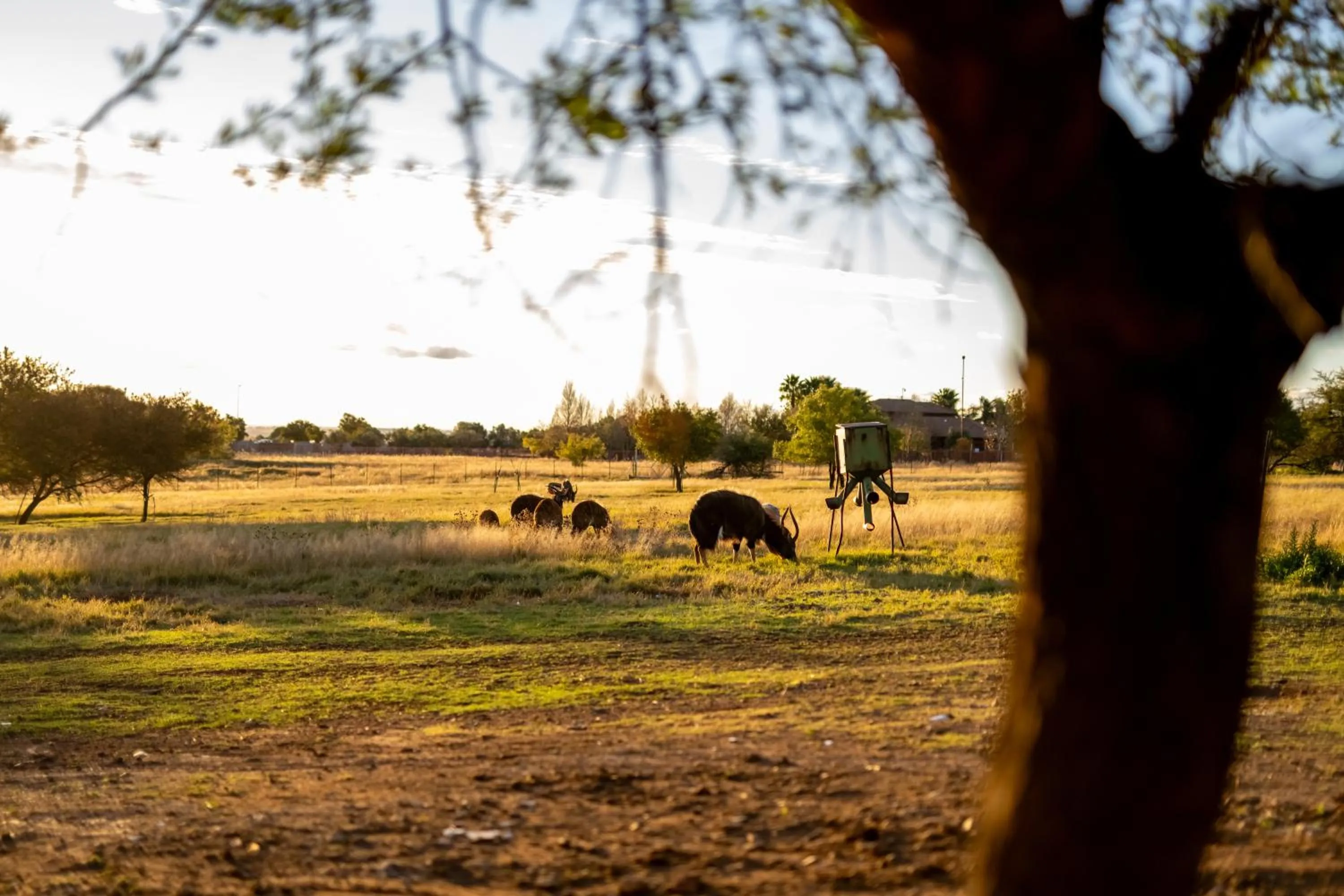 Natural landscape in Blue Rain Guest House