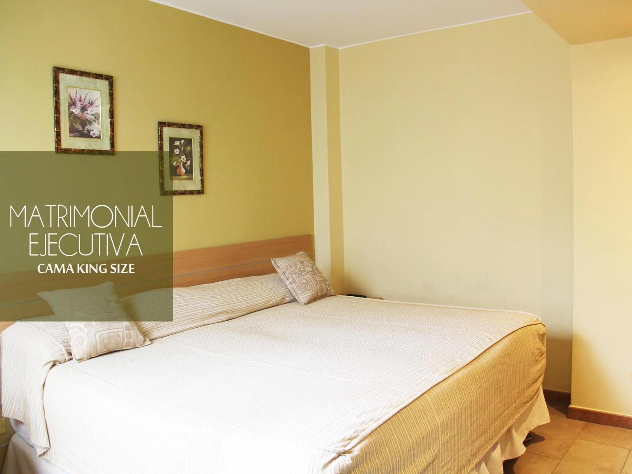 Executive Double Room - single occupancy in Hotel Mochiks