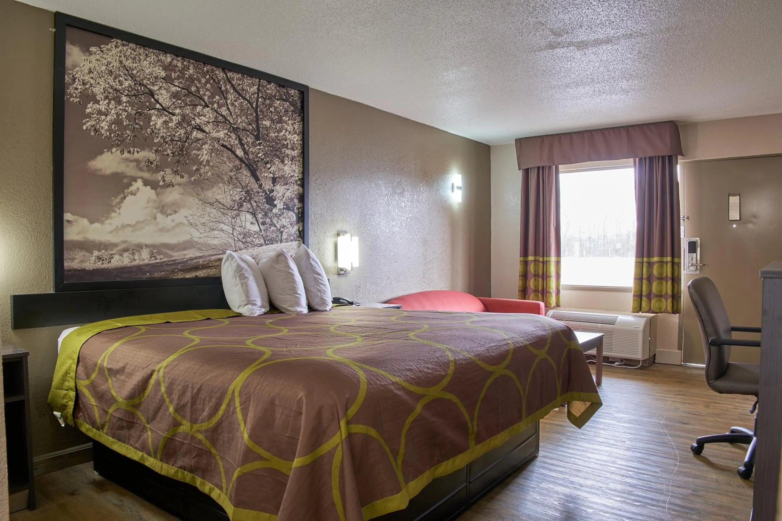 Bed in Super 8 by Wyndham Garysburg/Roanoke Rapids
