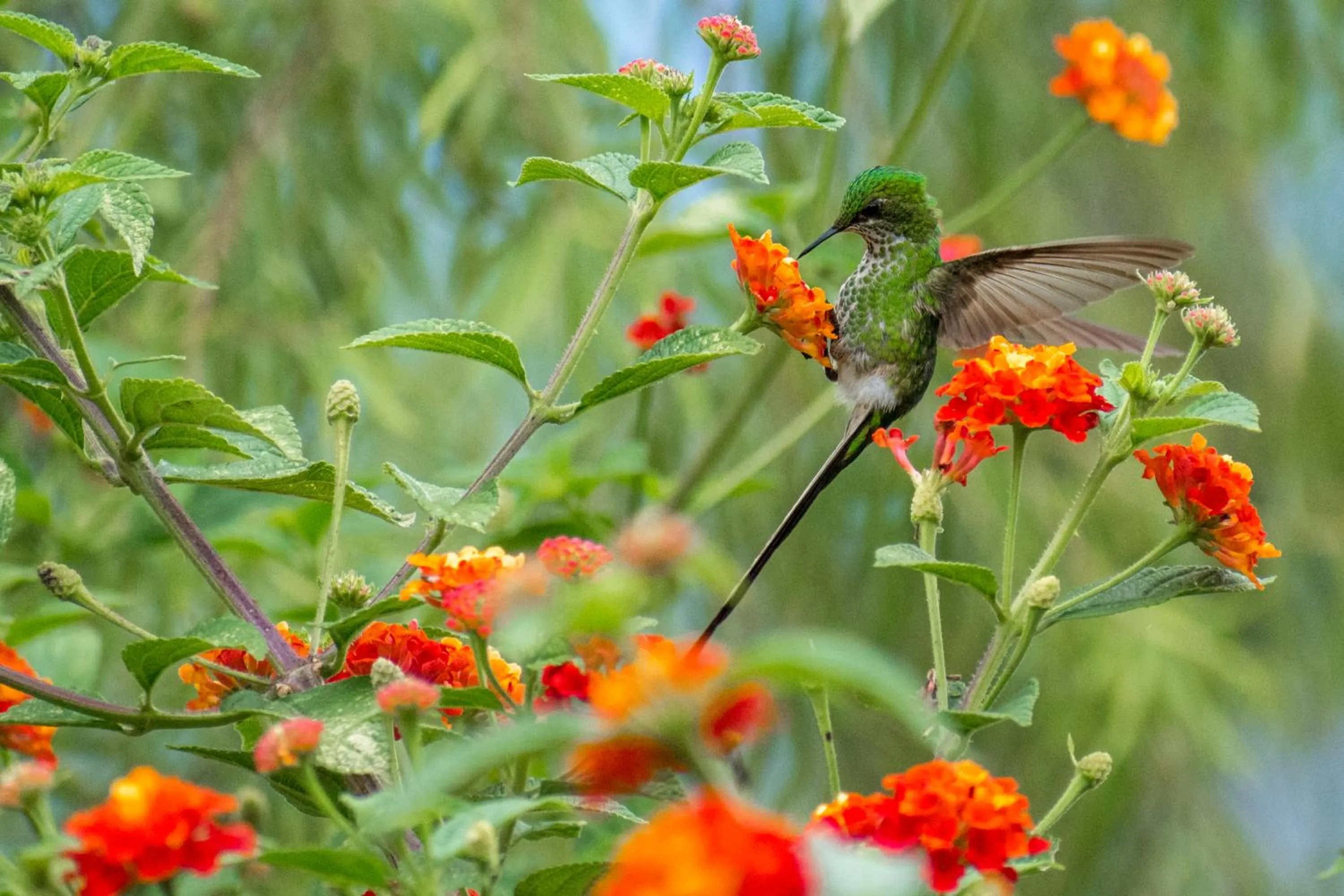 Hotel Villa de Paris