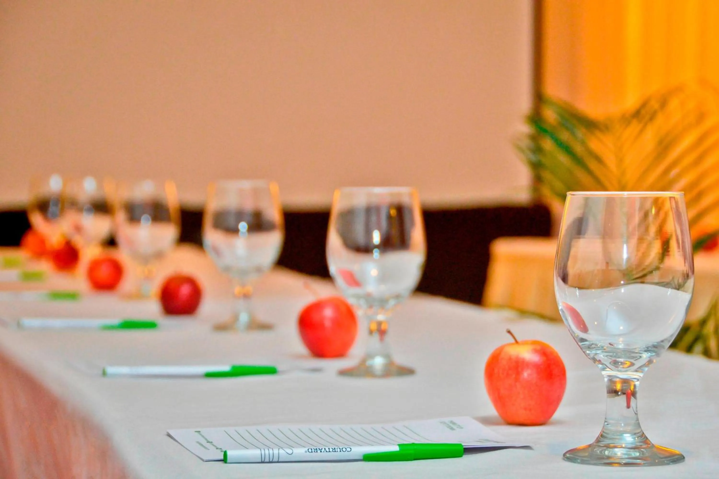 Meeting/conference room in Courtyard by Marriott Paramaribo
