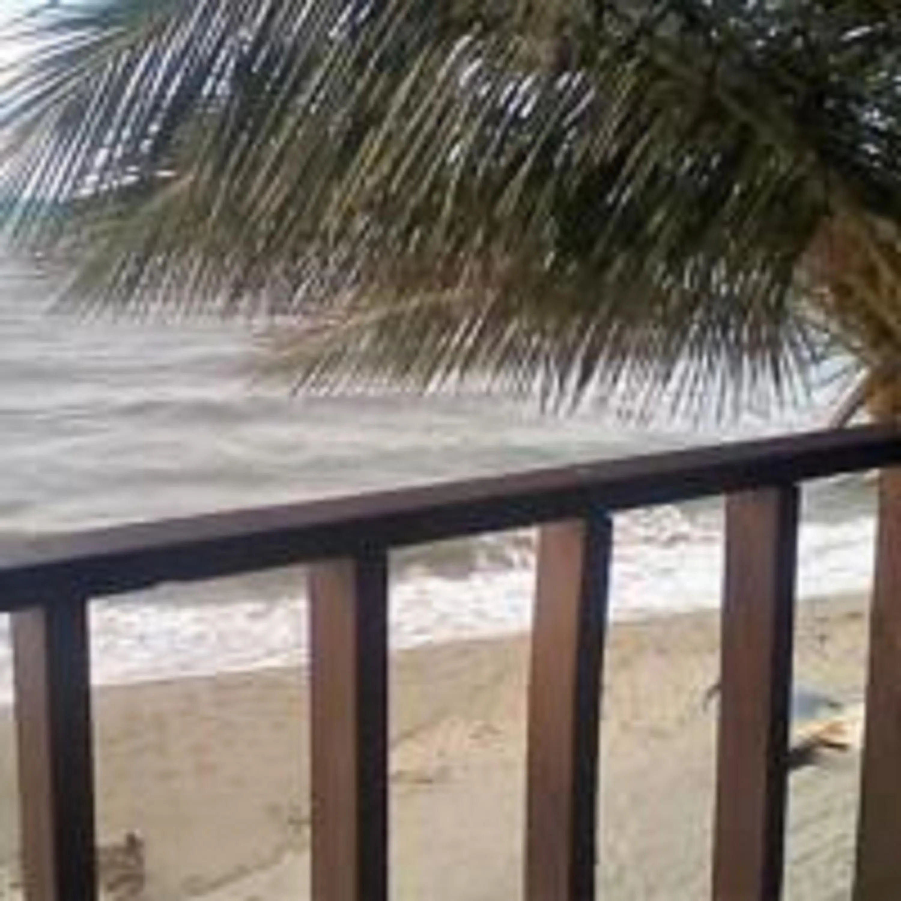 Balcony/Terrace in La Delphina Bed and Breakfast Bar and Grill