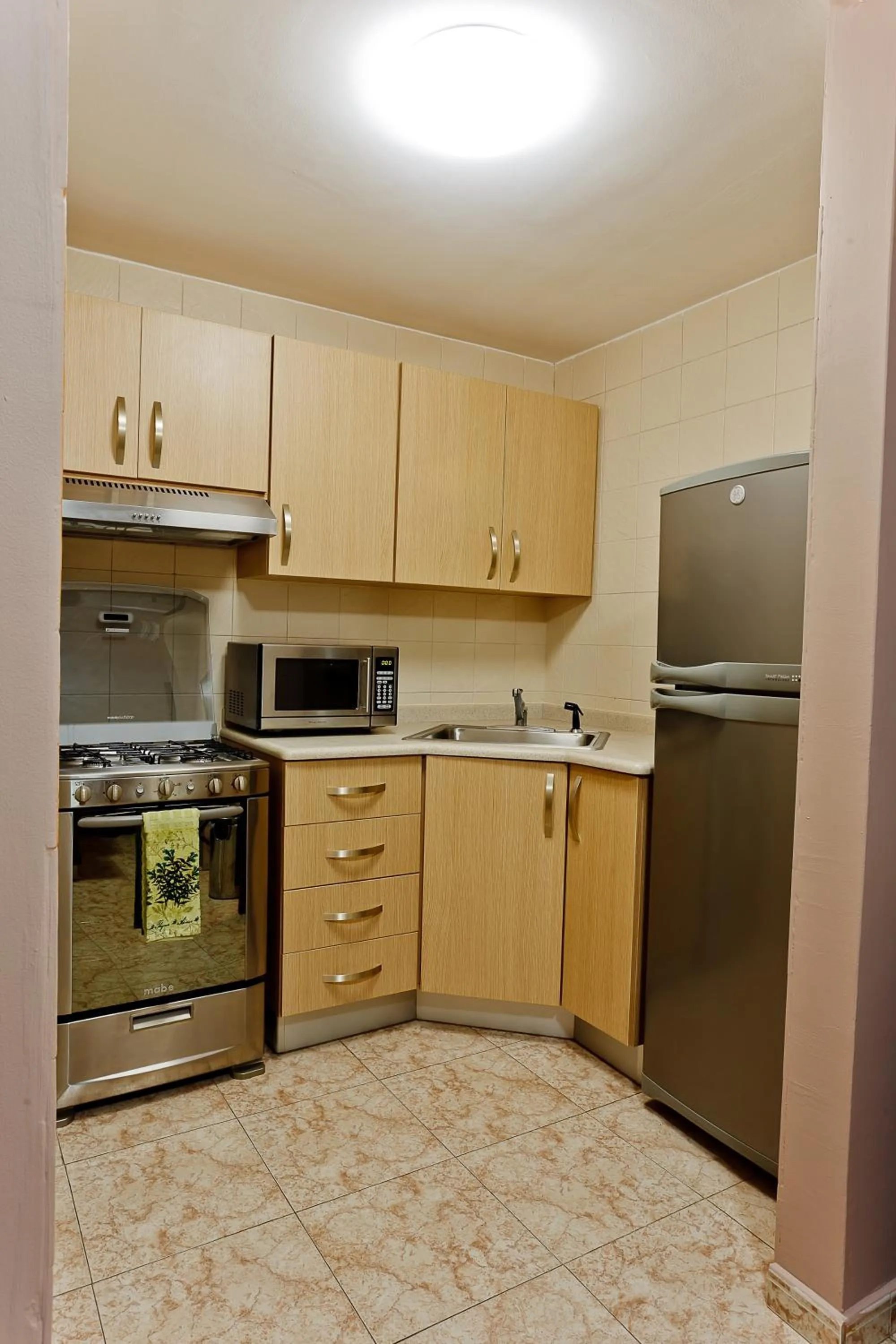 Kitchen or kitchenette in Hotel Coral Suites