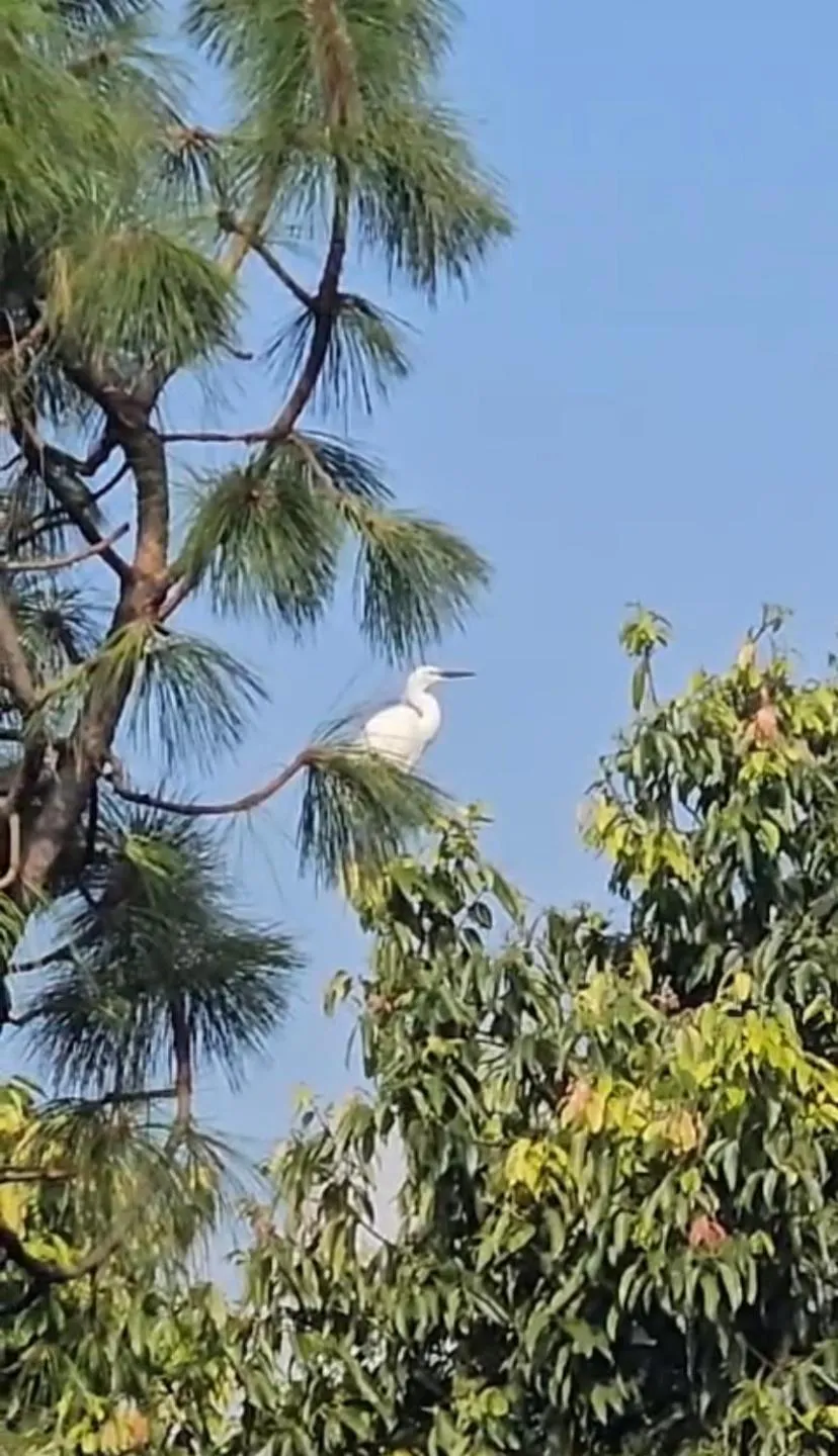 Three Jewels Boutique Hotel