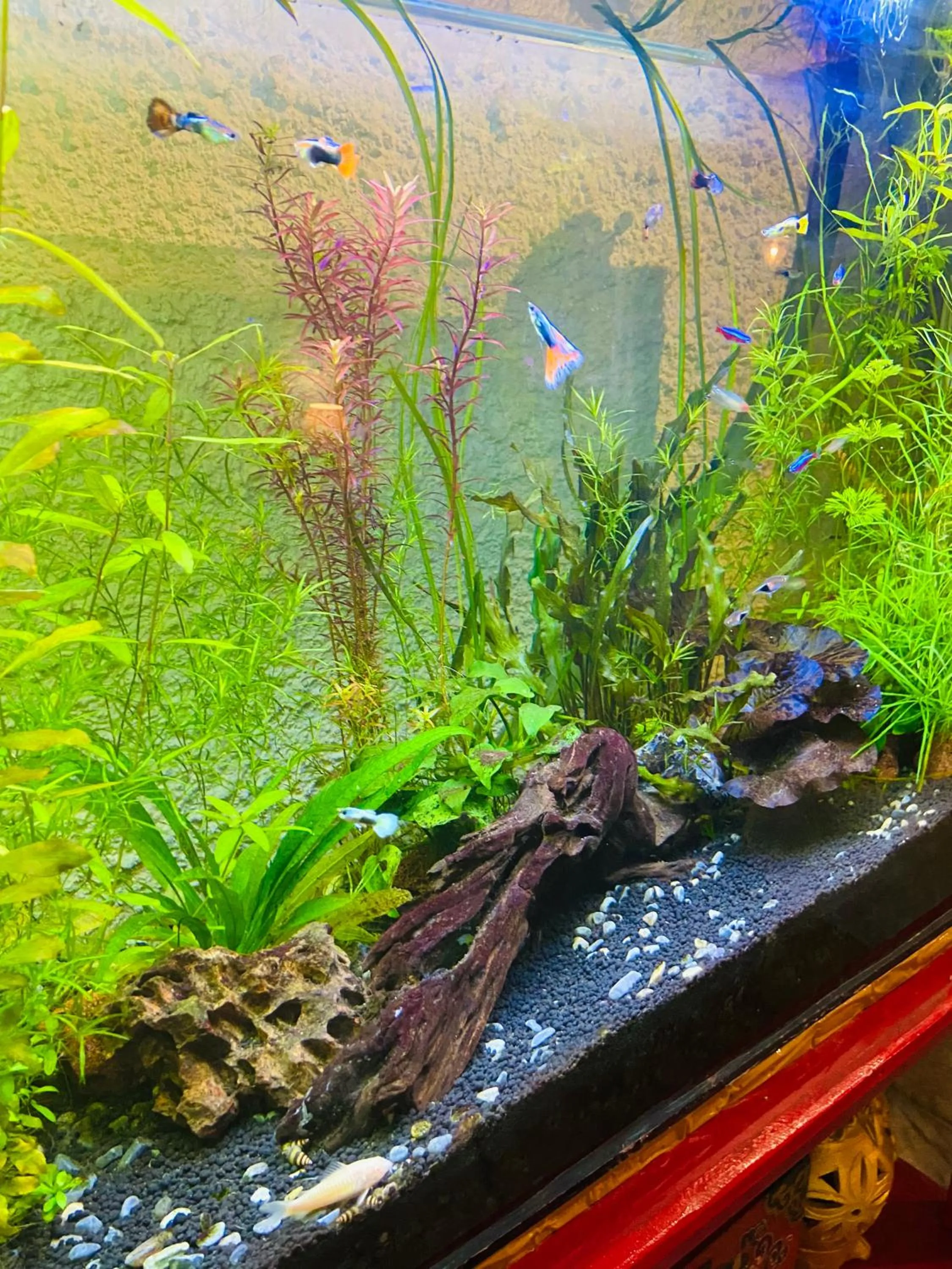 Three Jewels Boutique Hotel