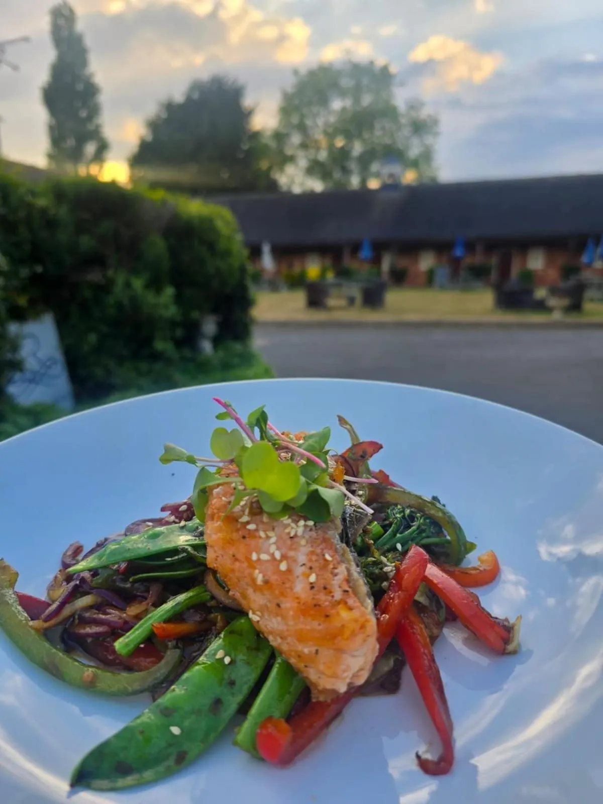 Garden view in The Royal Arms Bed & Breakfast