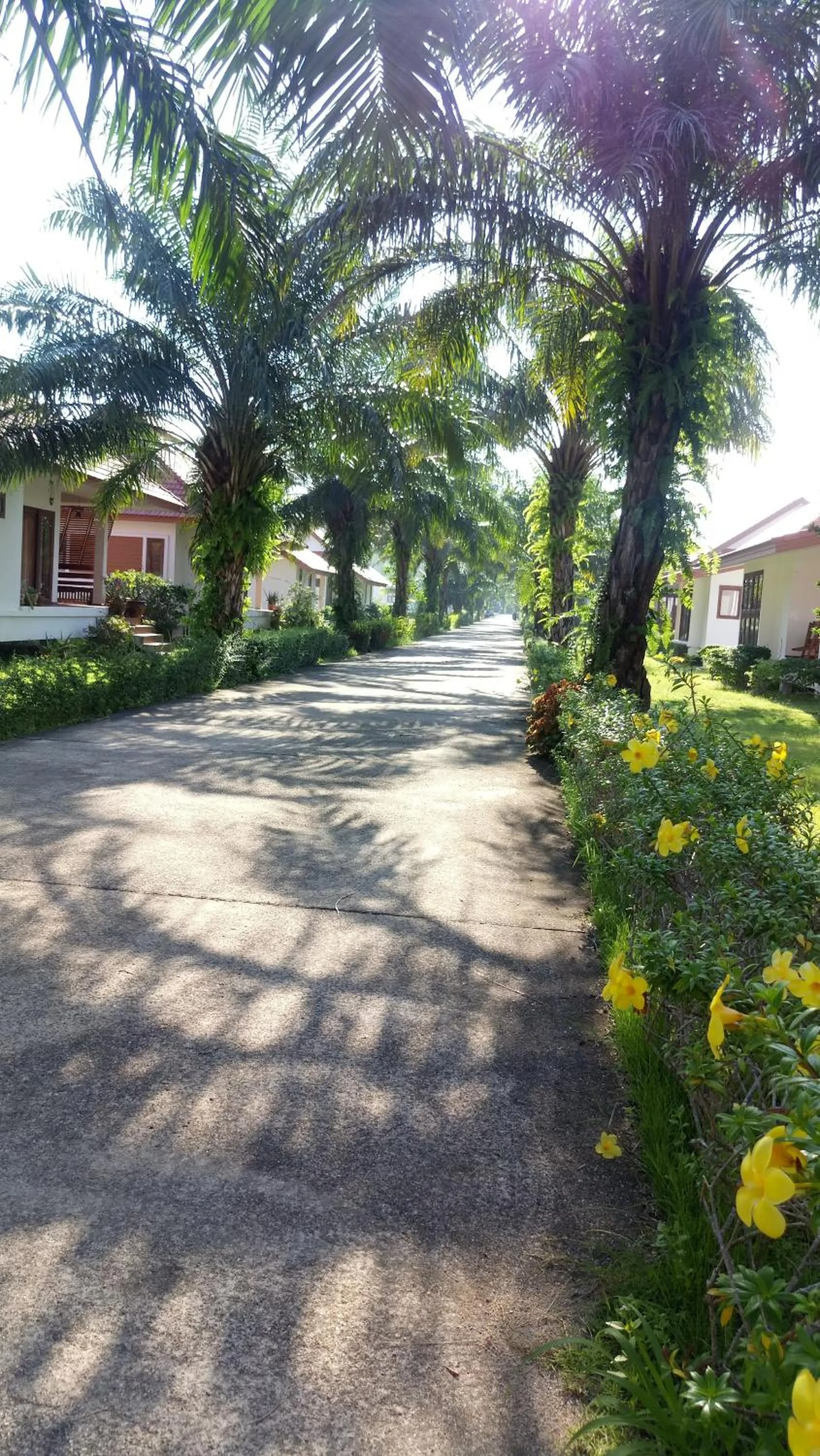 On site in Armonia Village Resort and Spa