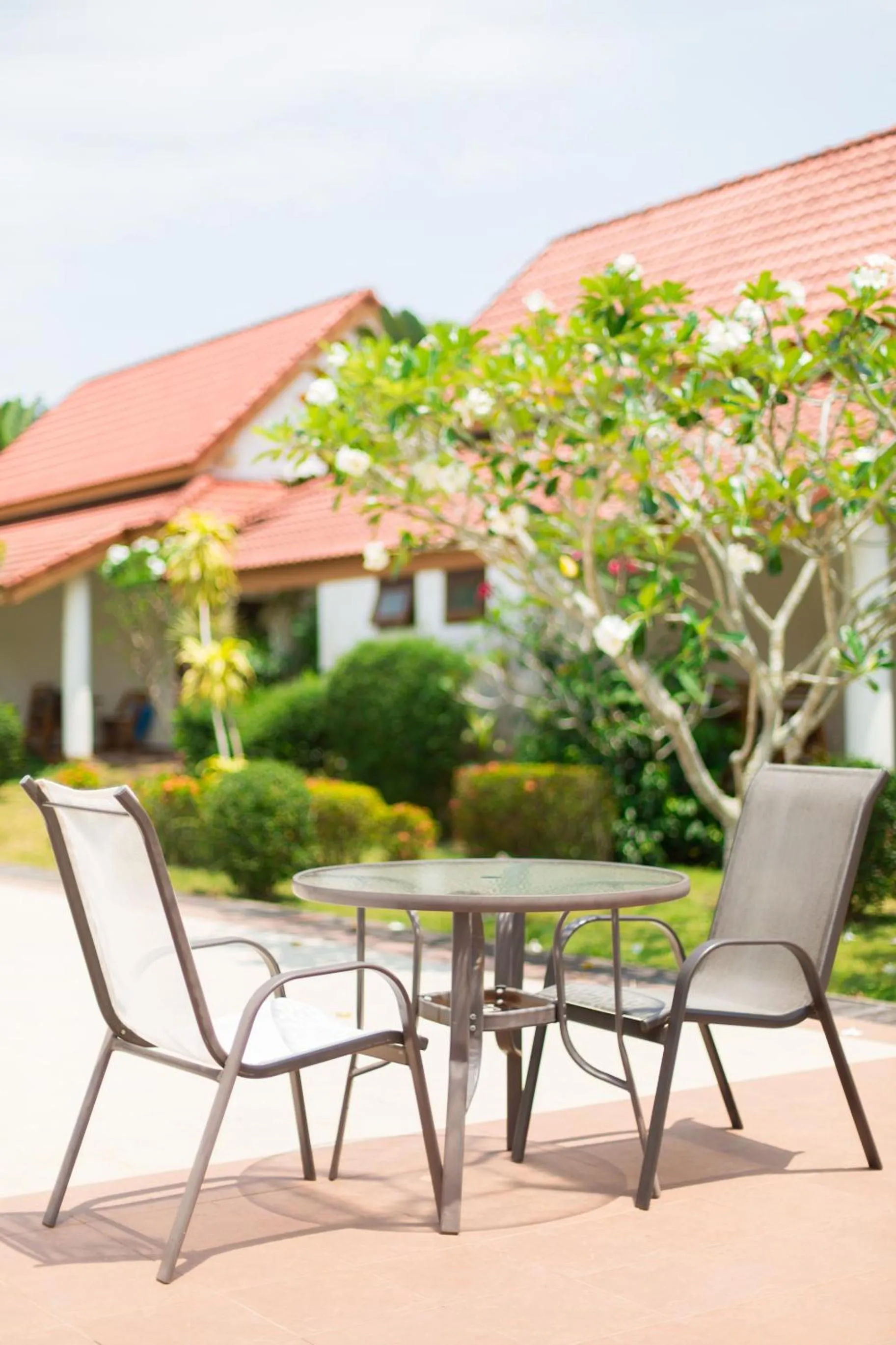 Area and facilities in Armonia Village Resort and Spa