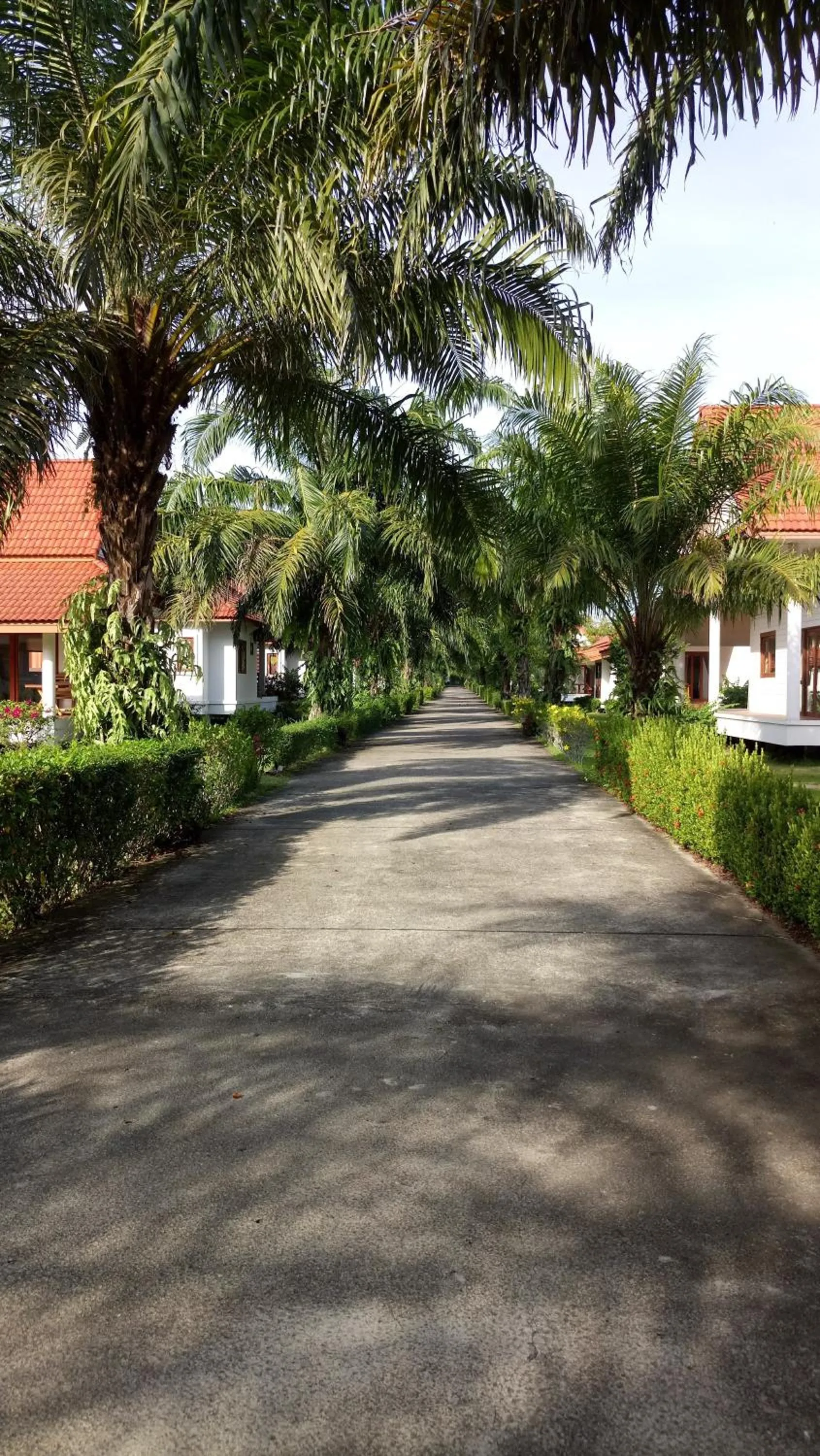 Natural landscape in Armonia Village Resort and Spa