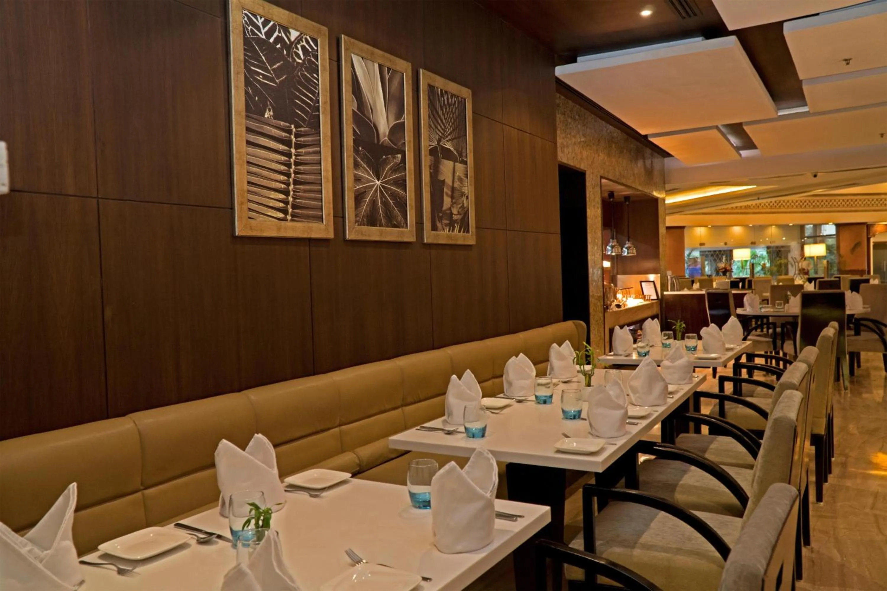 Restaurant/places to eat in Park Plaza, Ludhiana