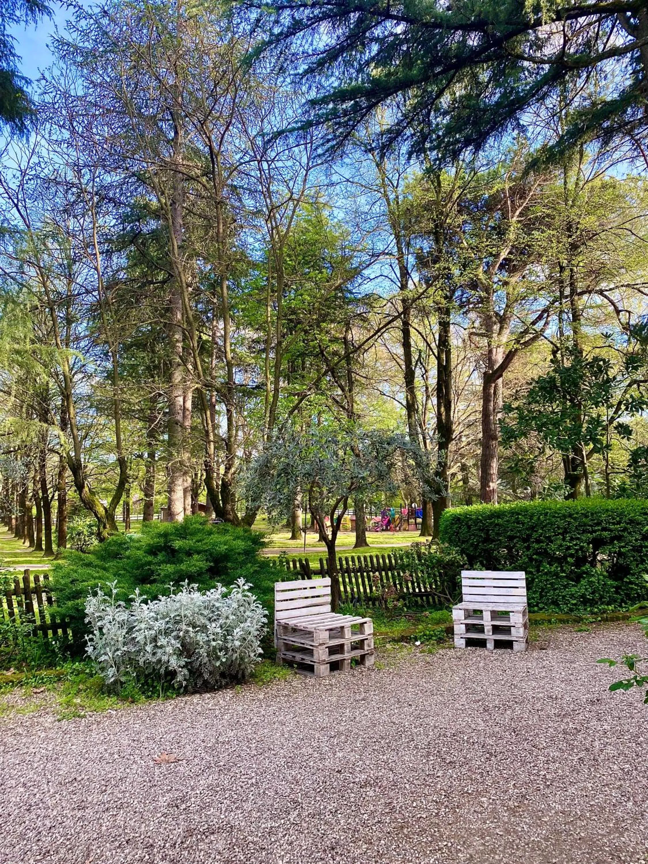 Garden view in Hotel Ca' Vecchia