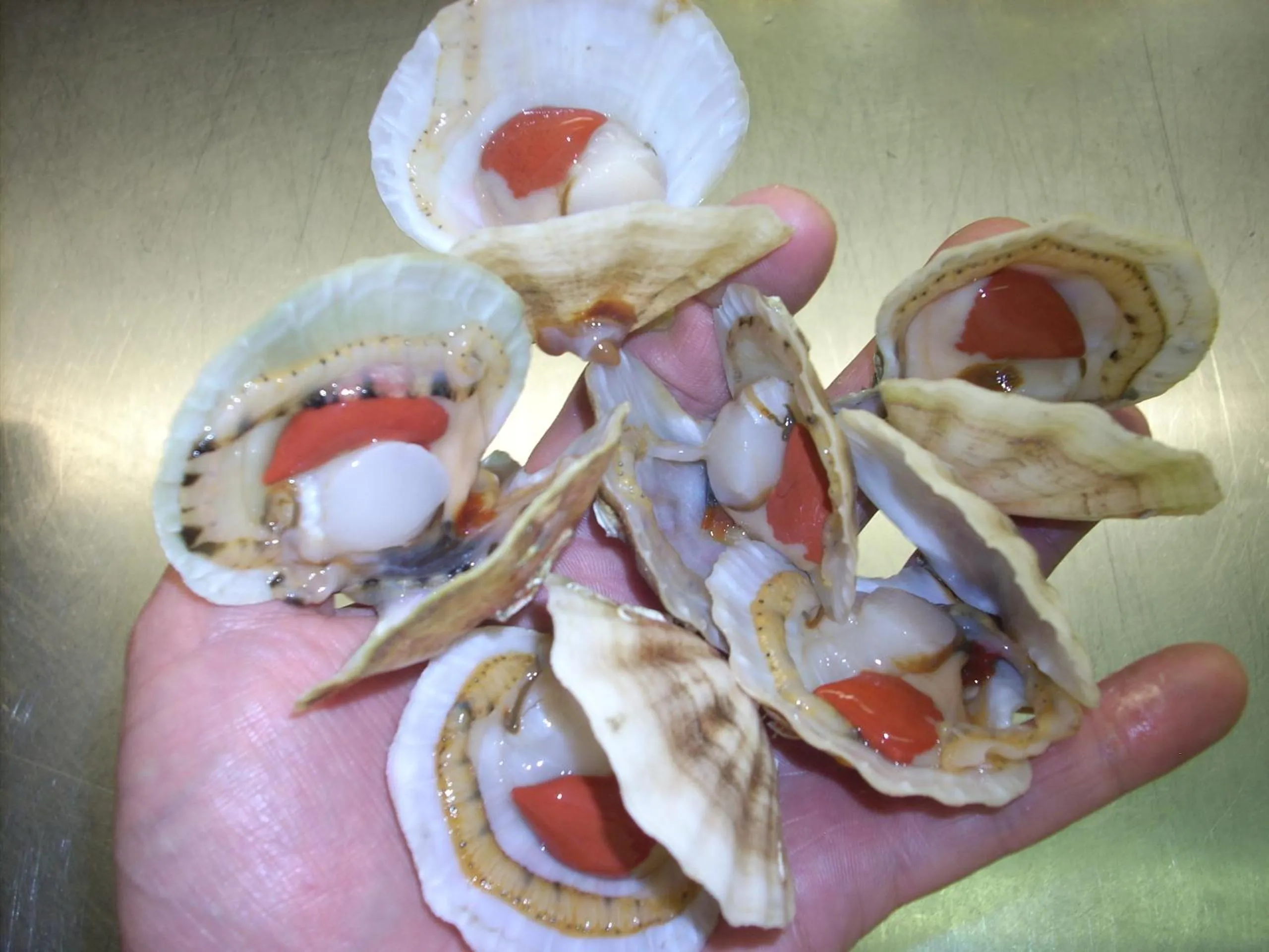 Food close-up in Ai Campi Di Marcello Hotel