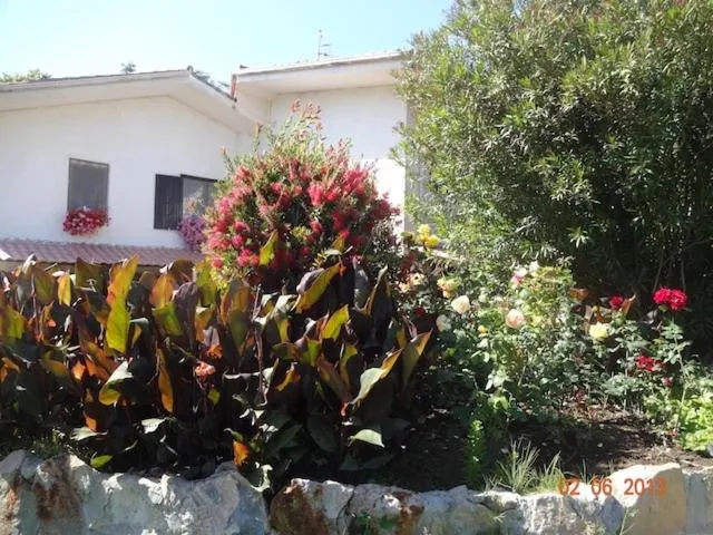 Garden in B&B Villa Sans Souci