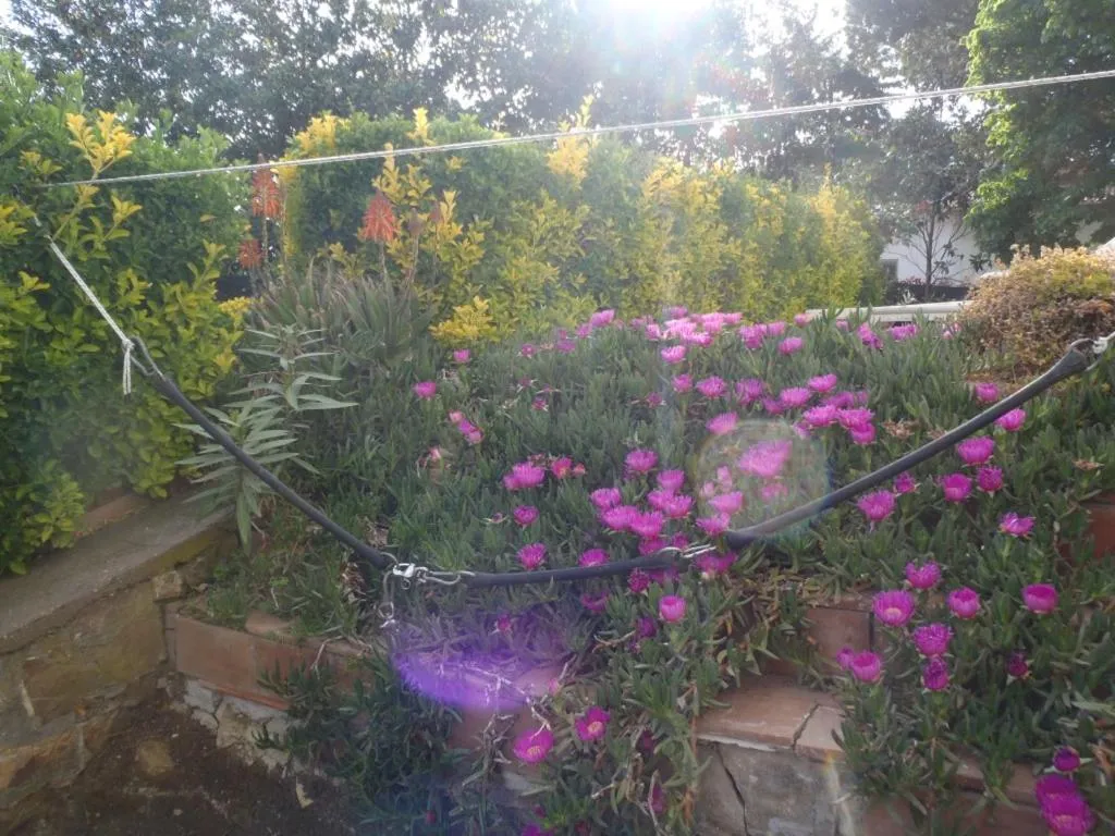 Garden in B&B Villa Sans Souci