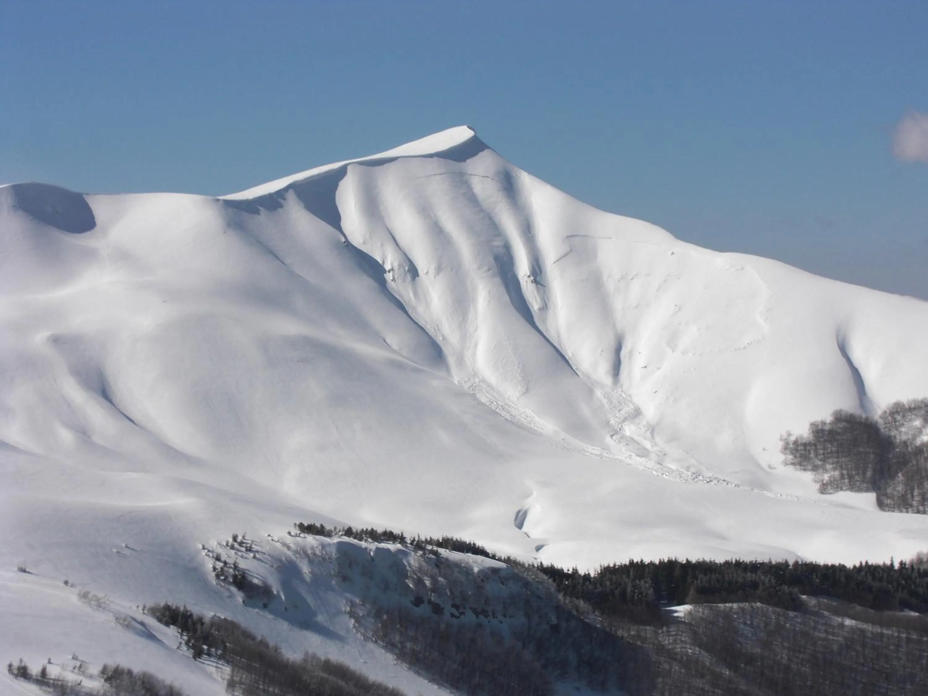 Area and facilities in Piccolo Hotel
