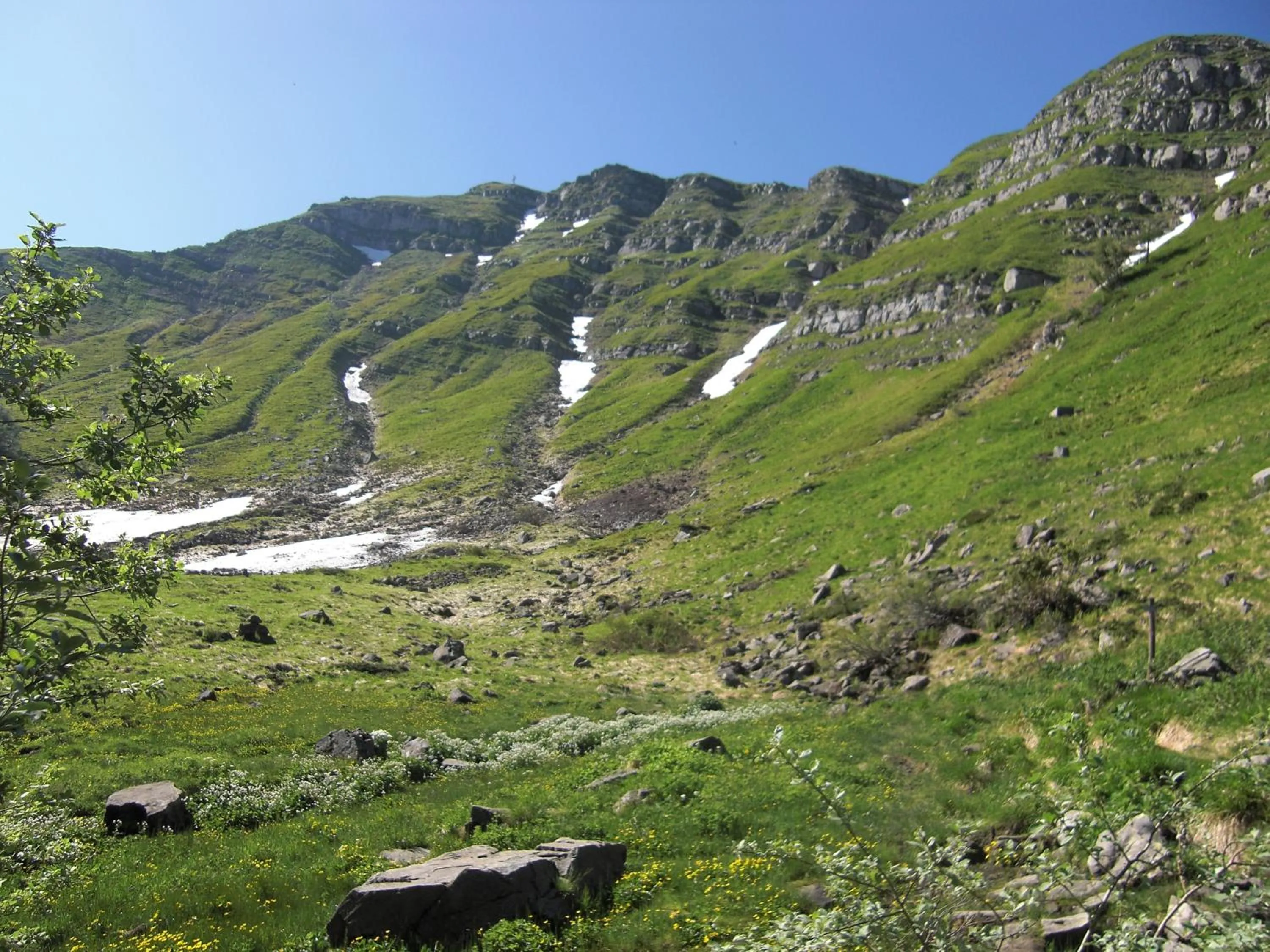 Area and facilities in Piccolo Hotel