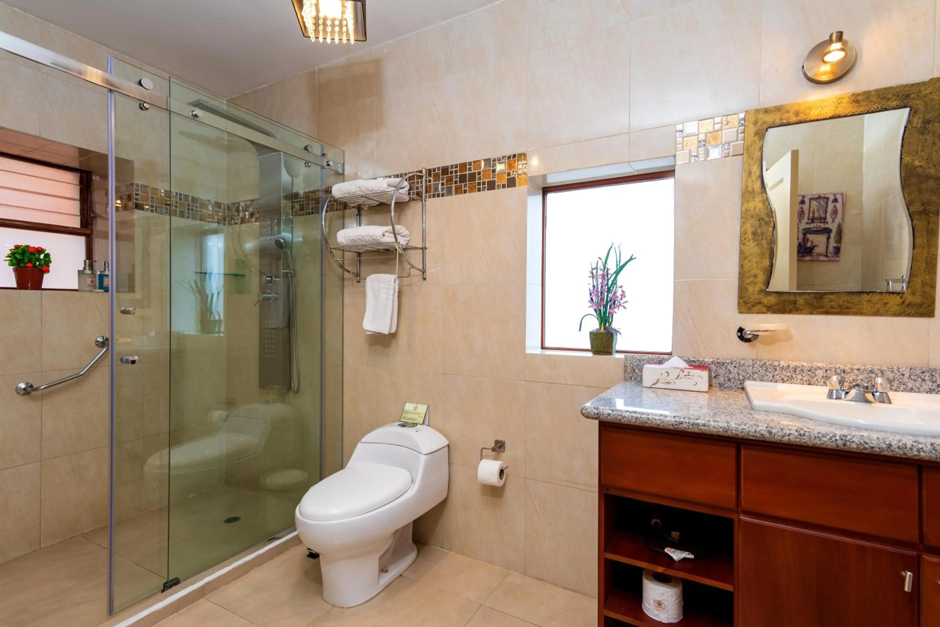 Toilet in Hotel Boutique Los Balcones