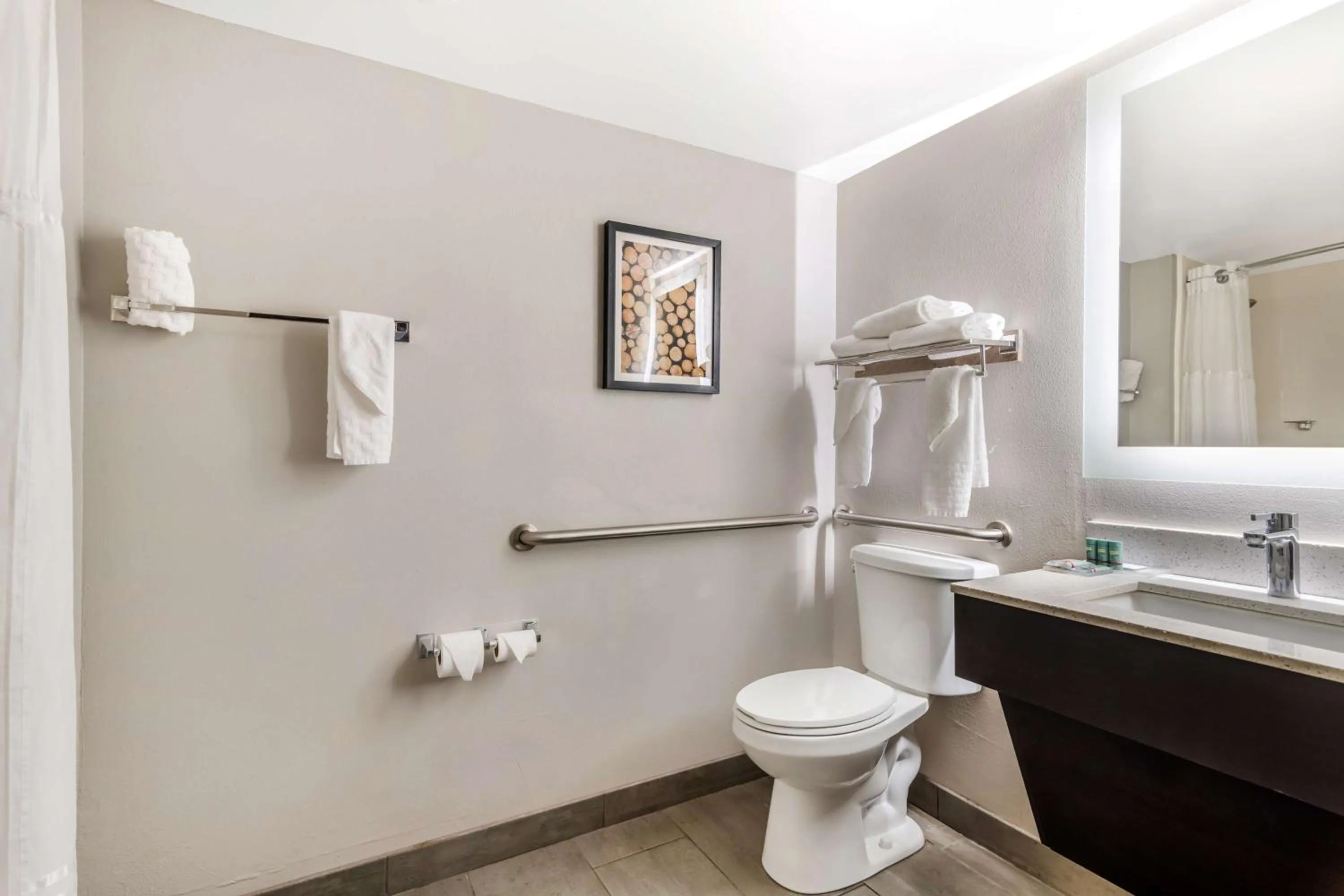 Bathroom in Best Western Atlanta-Marietta Ballpark Hotel