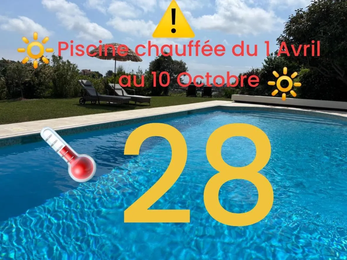 Swimming pool in Villa Antoline