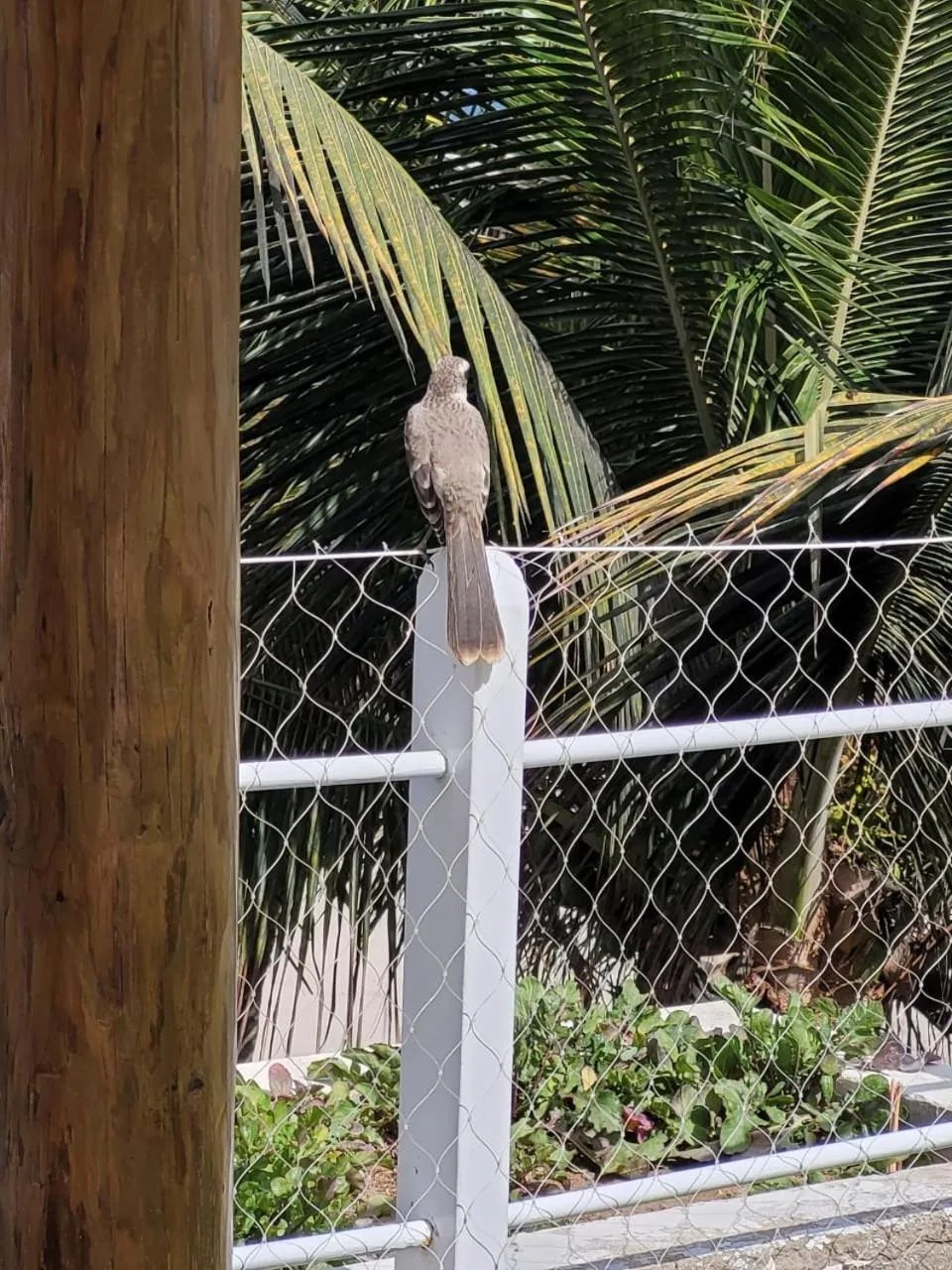 Property building in Sunset Mancora