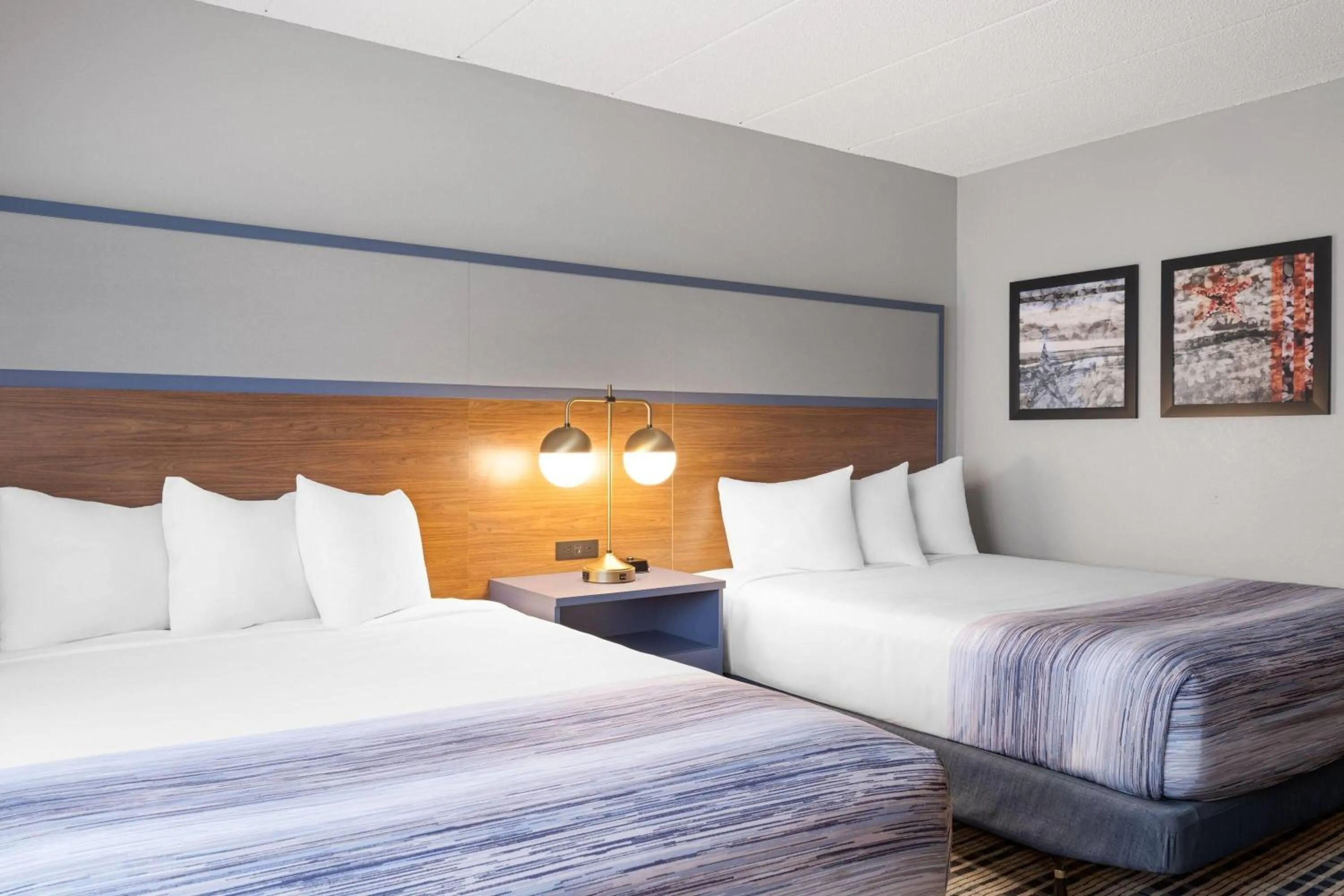 Photo of the whole room, Bed in AmericInn by Wyndham Alexandria