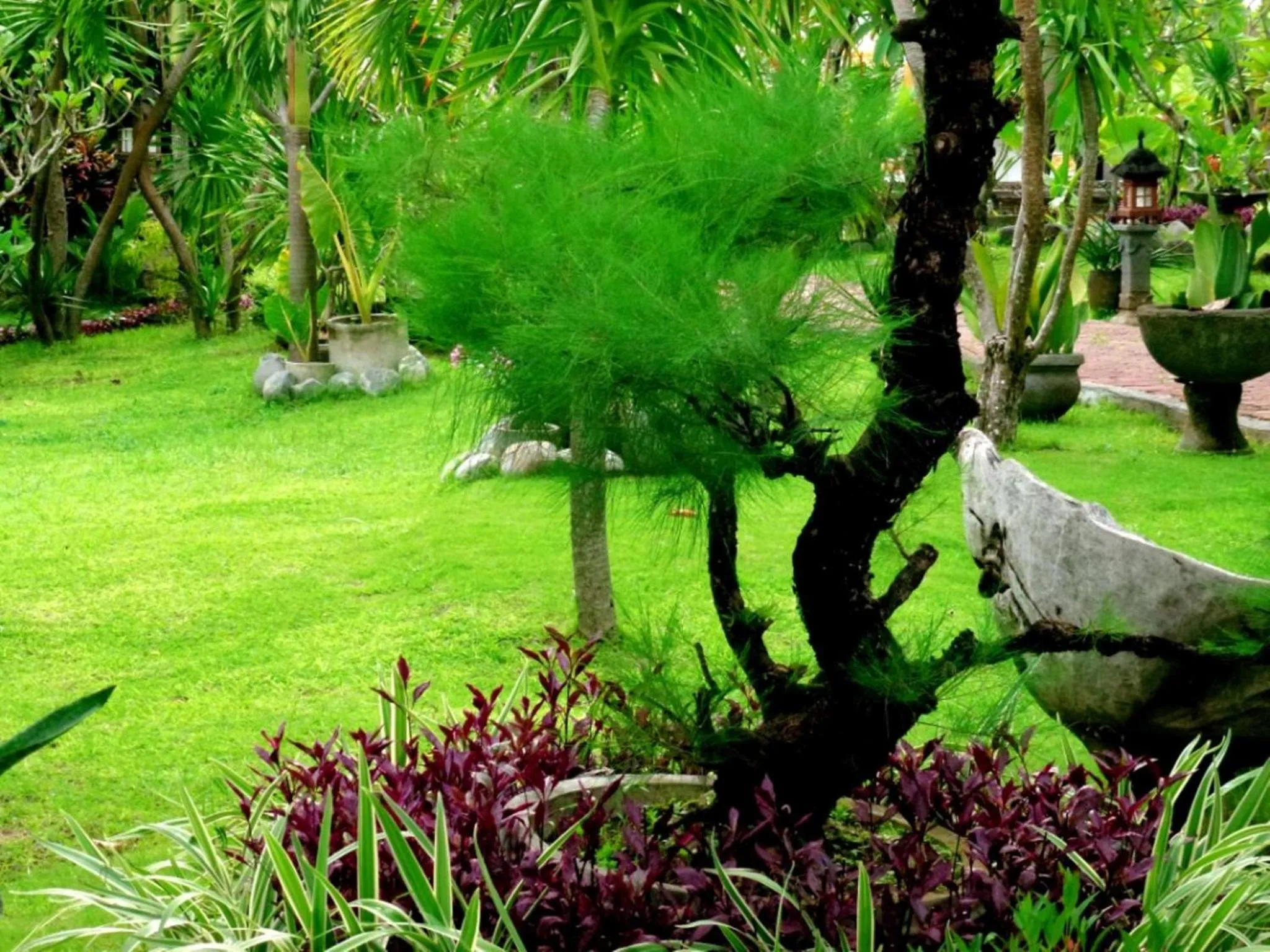 Garden in Gazebo Beach Hotel