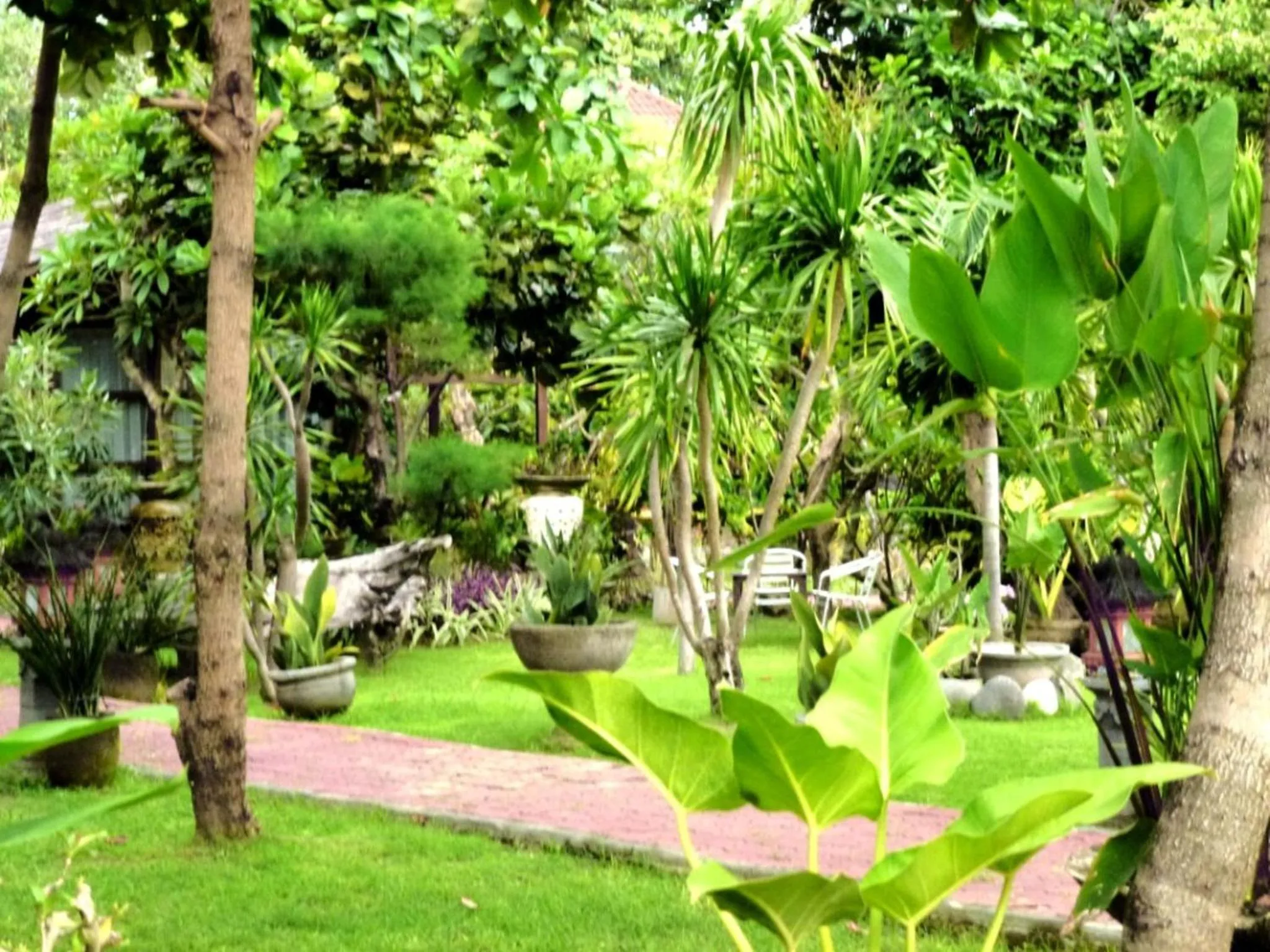 Garden in Gazebo Beach Hotel