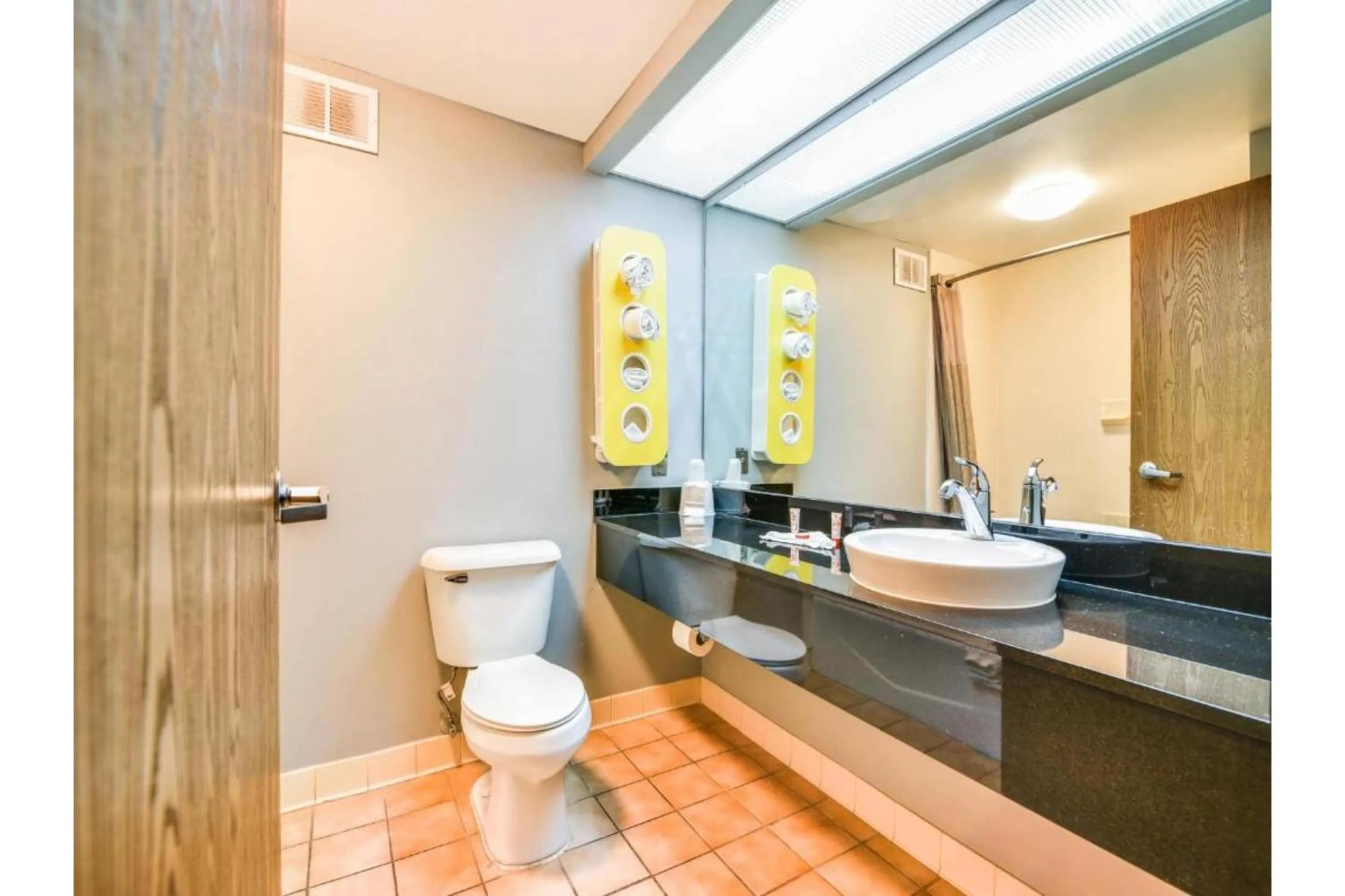 Bathroom in OYO Townhouse Inn Jacksonville near Little Rock Air Force Base