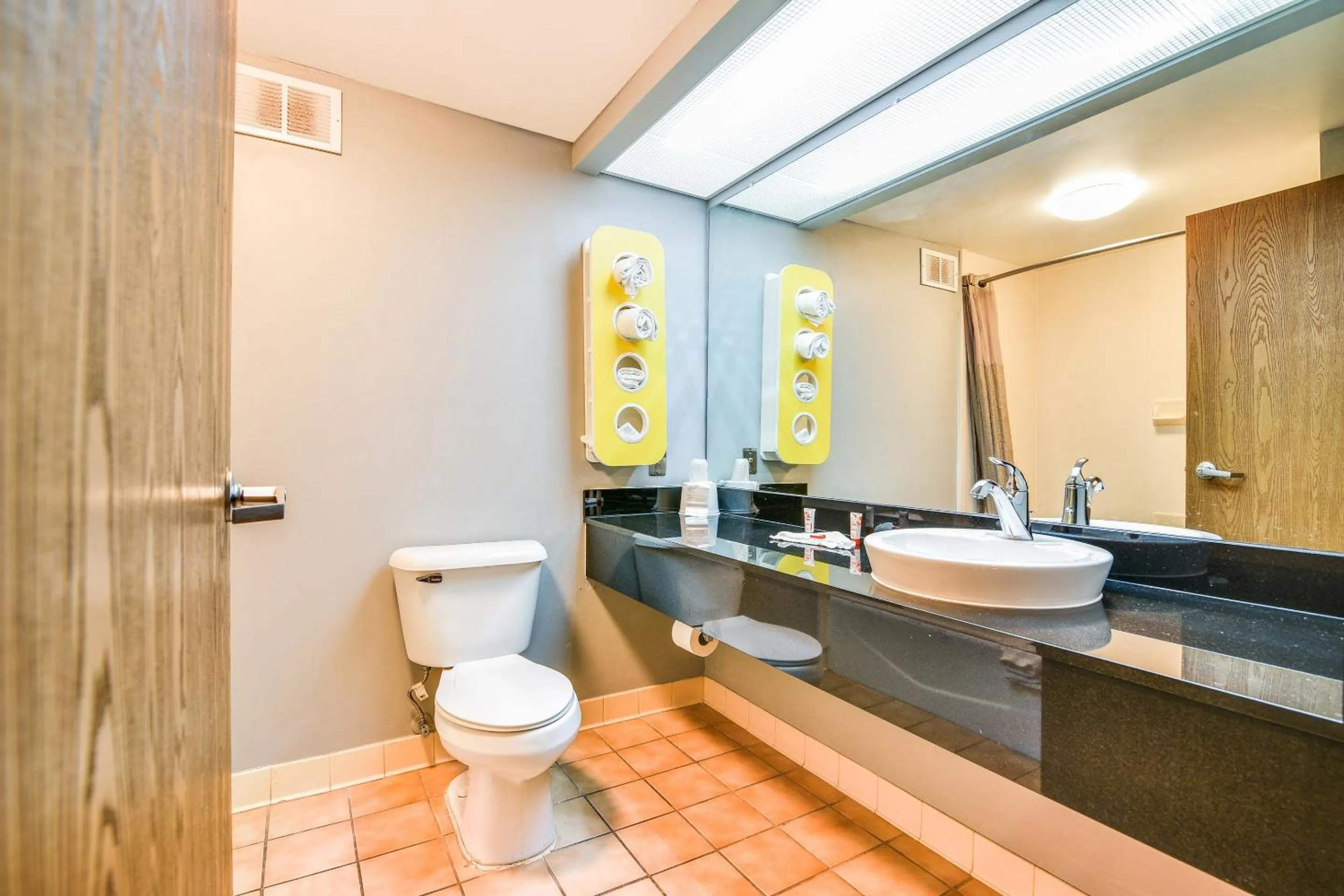 Bathroom in OYO Townhouse Inn Jacksonville near Little Rock Air Force Base