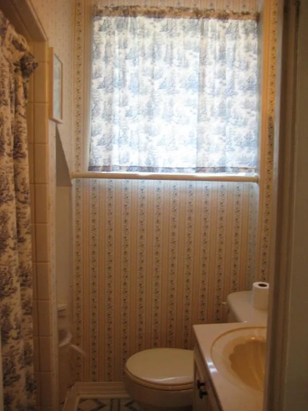 Cutty Sark Efficiencies and Historic Cottage's