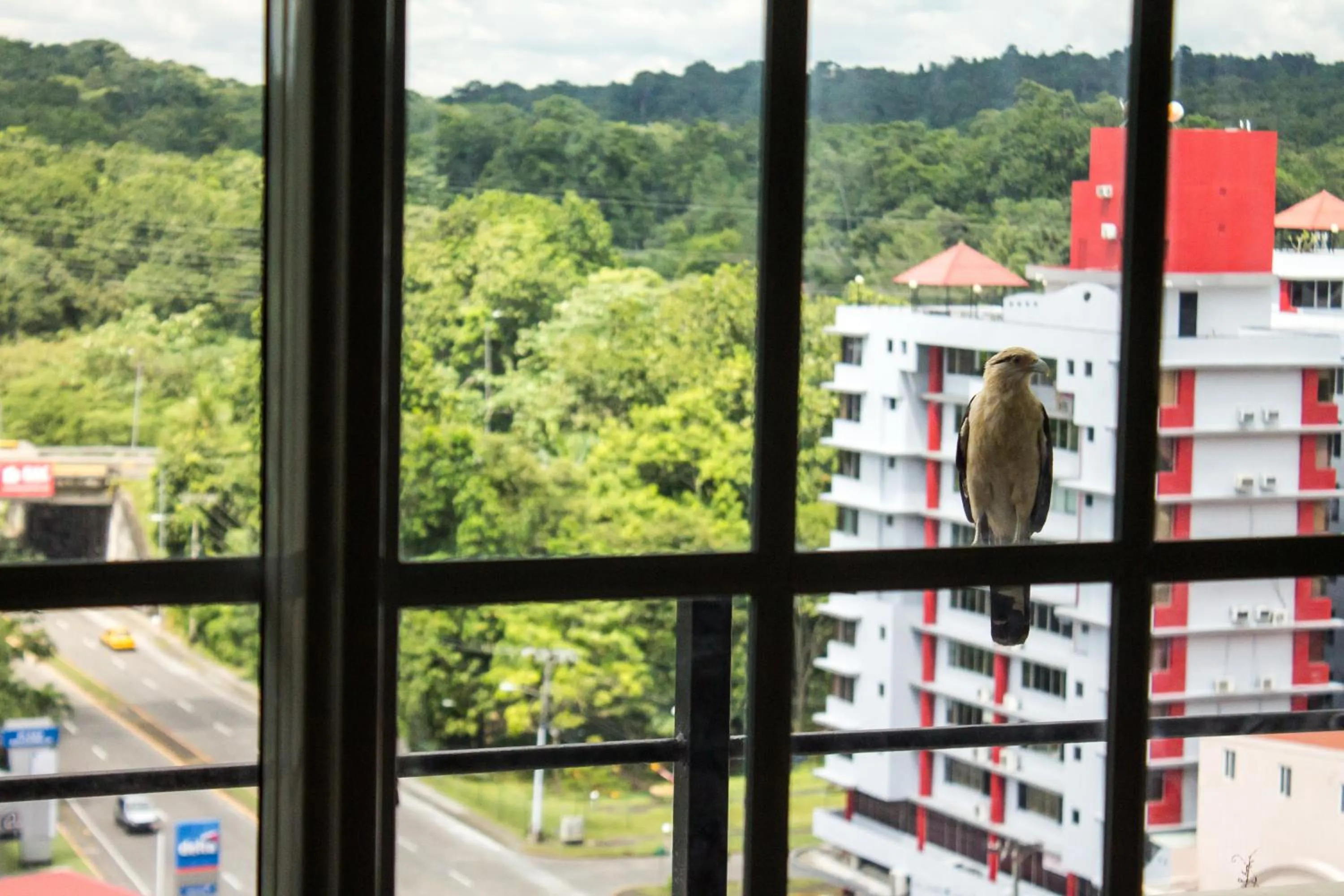 Nearby landmark in Central Park Hotel & Casino