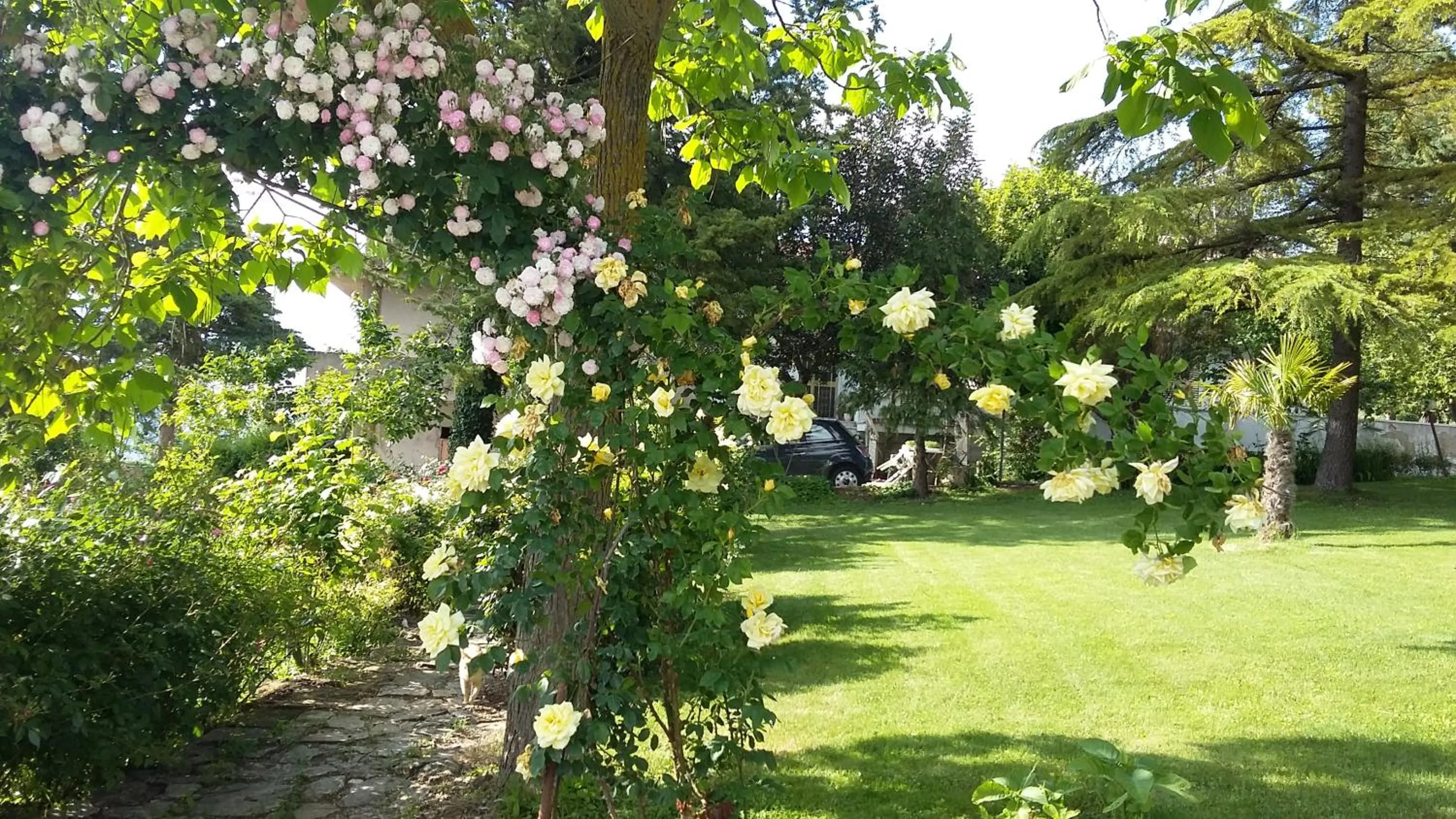 Property building in B&B Casa di Laura