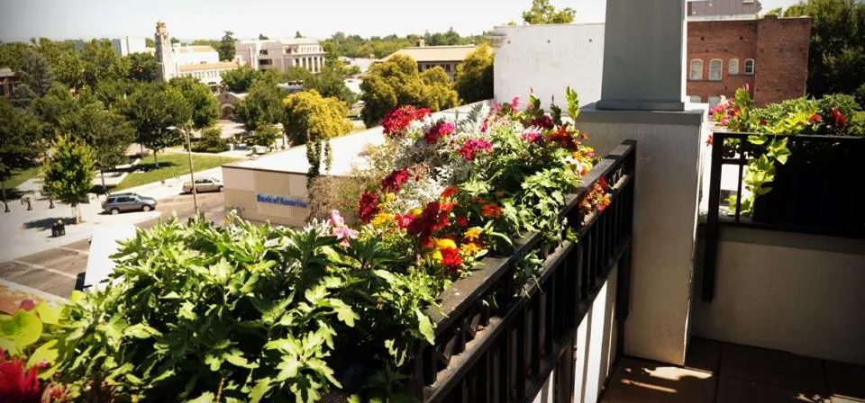 Spring in Hotel Diamond