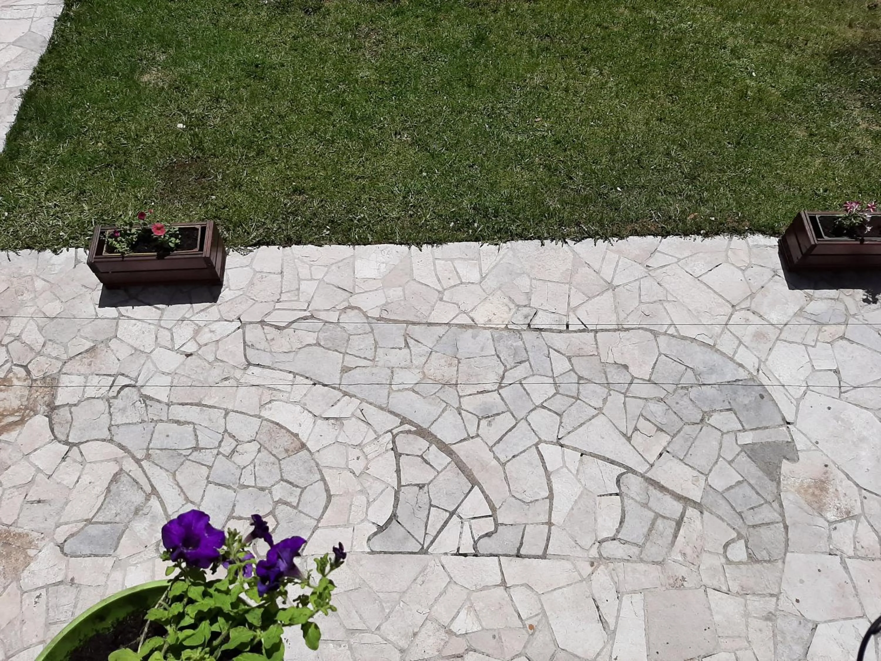 Tanjuška