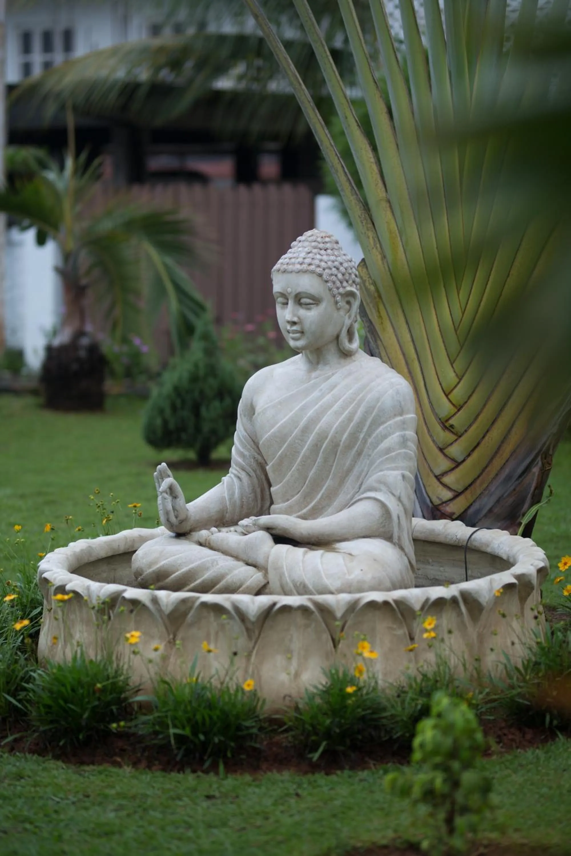 Garden view in Hotel TSG Grand