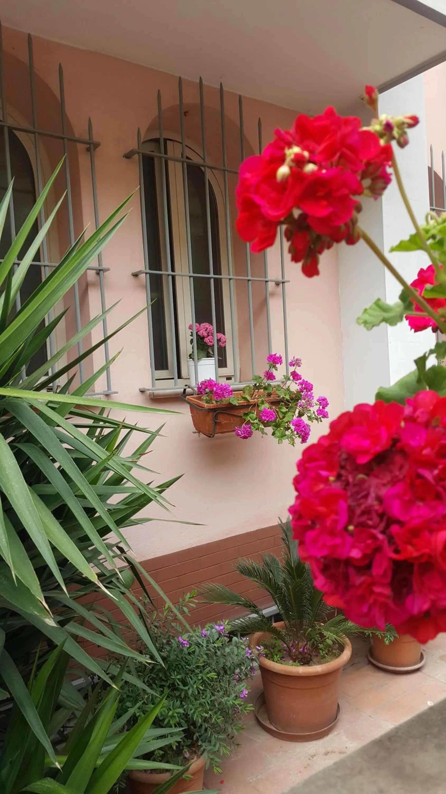 Property building in FioreStella