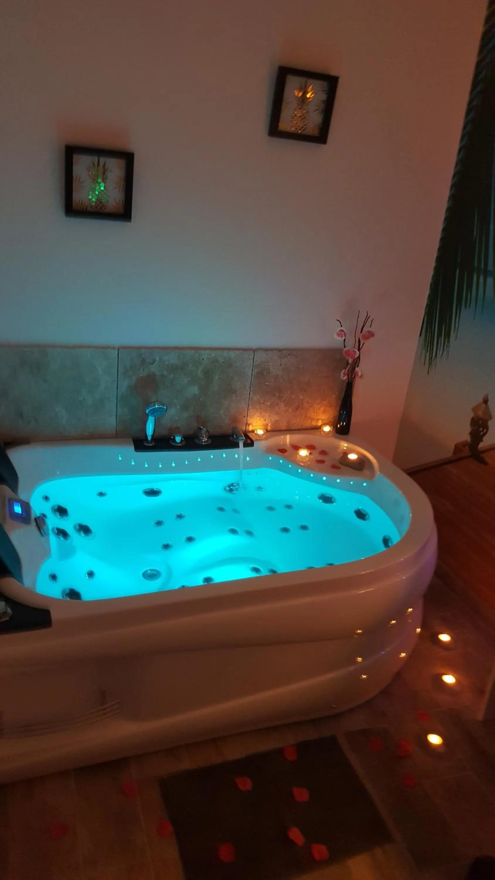 Le Mas Romantique avec Jacuzzi et Sauna privé