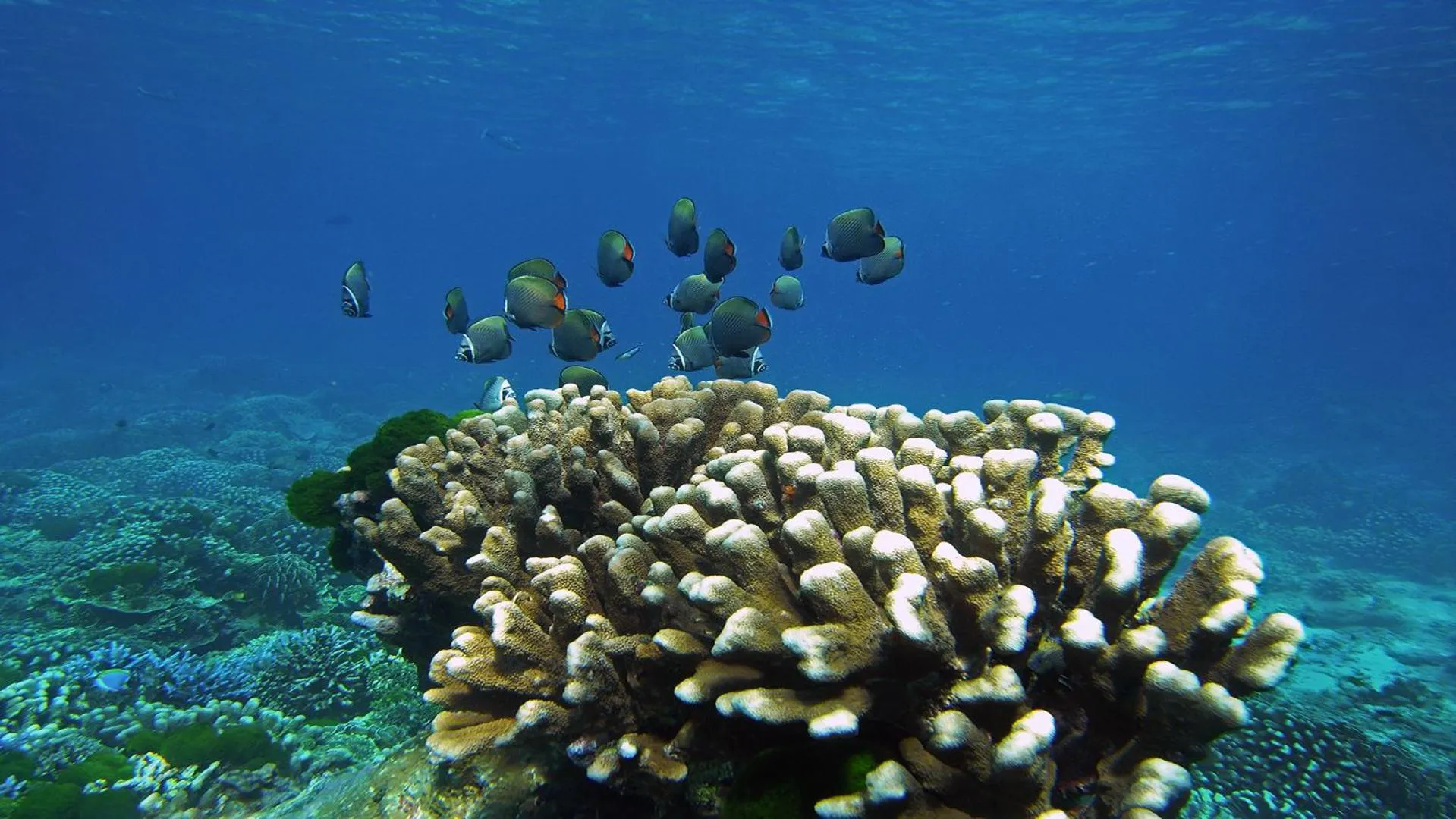 Natural landscape in Phuket Meet Holiday Hotel-Rawai 普吉岛相遇花园度假酒店-拉威店