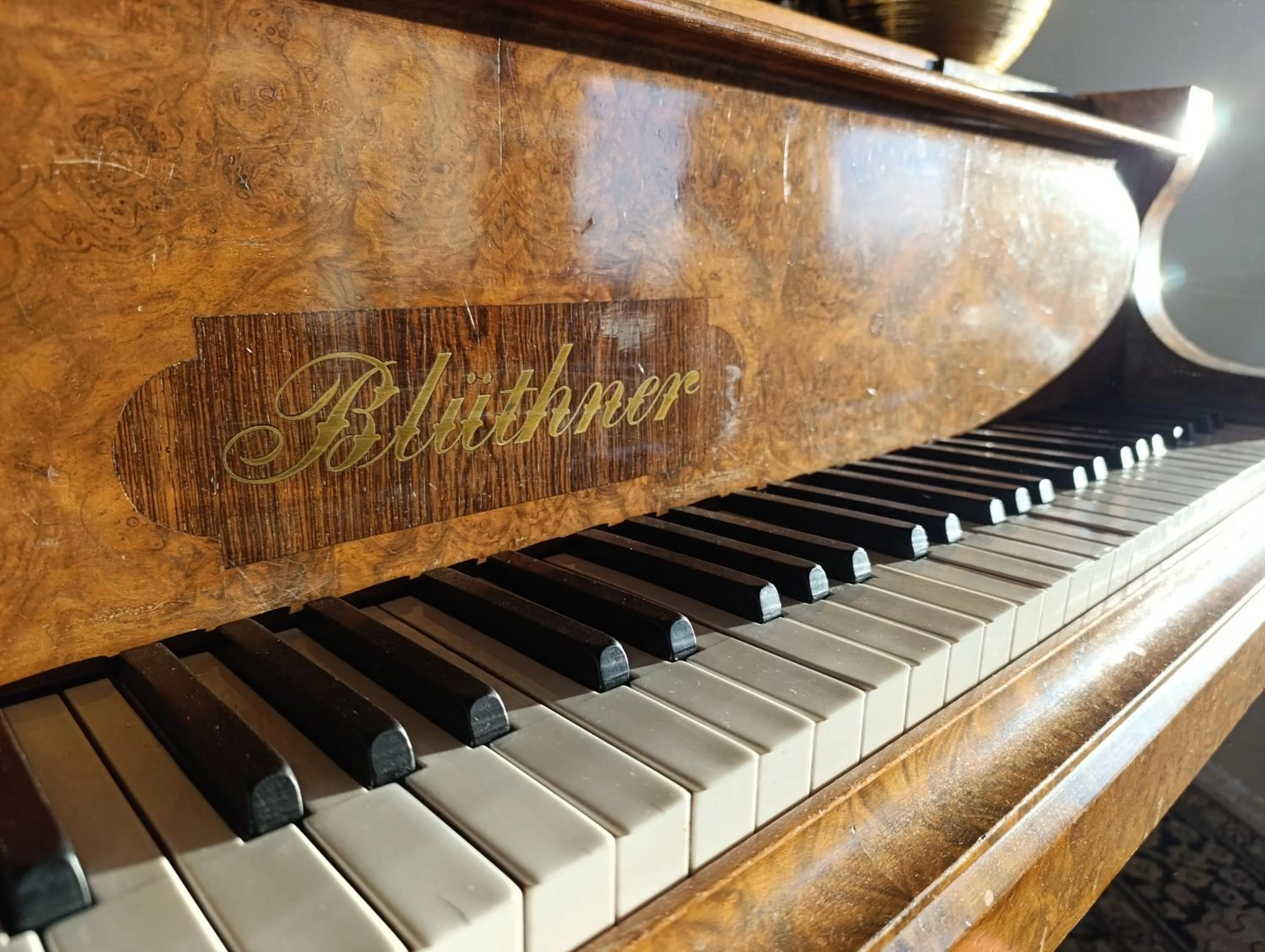 Villa Marini Trevisan