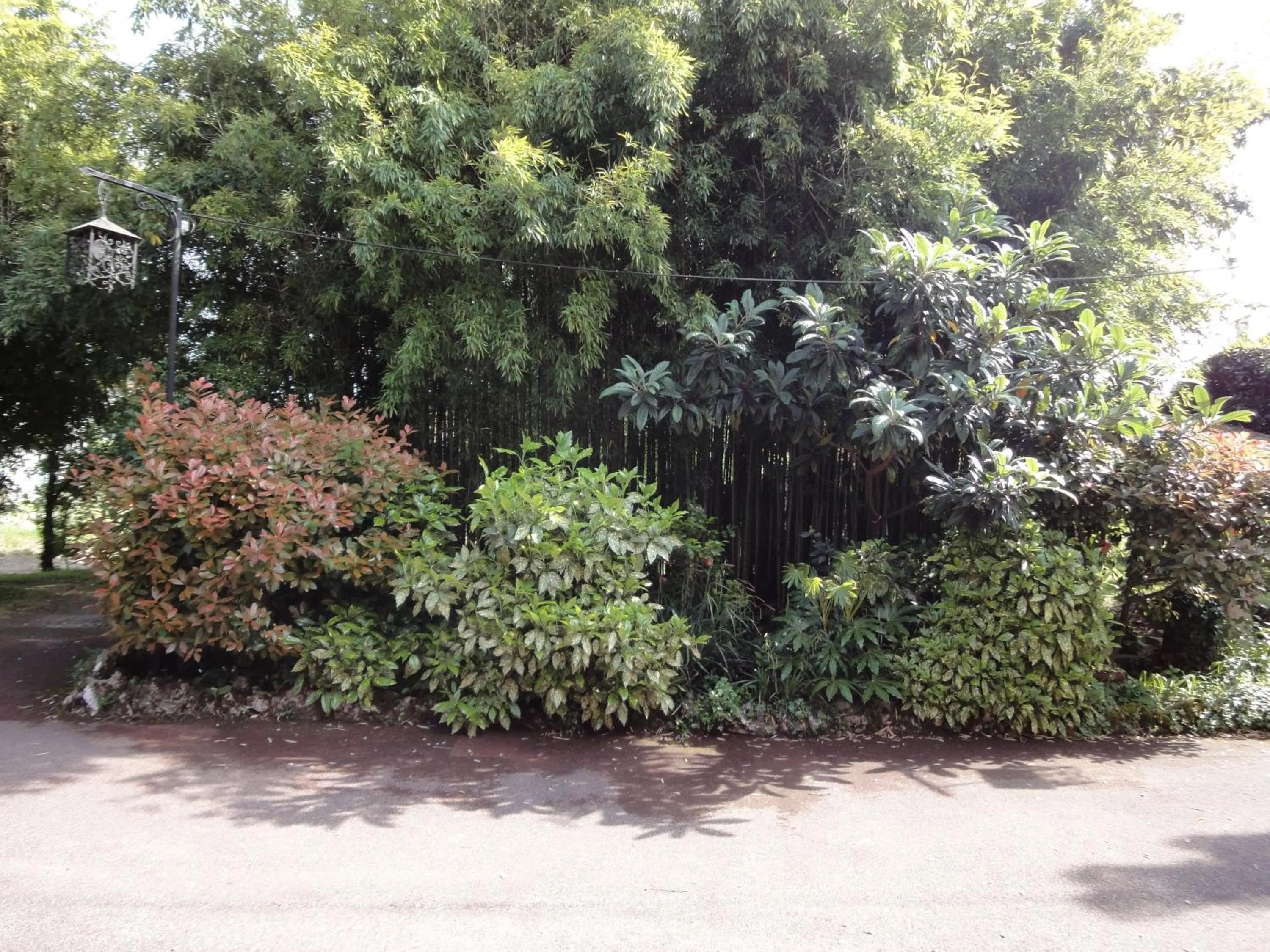Garden in Hotel du Bosquet