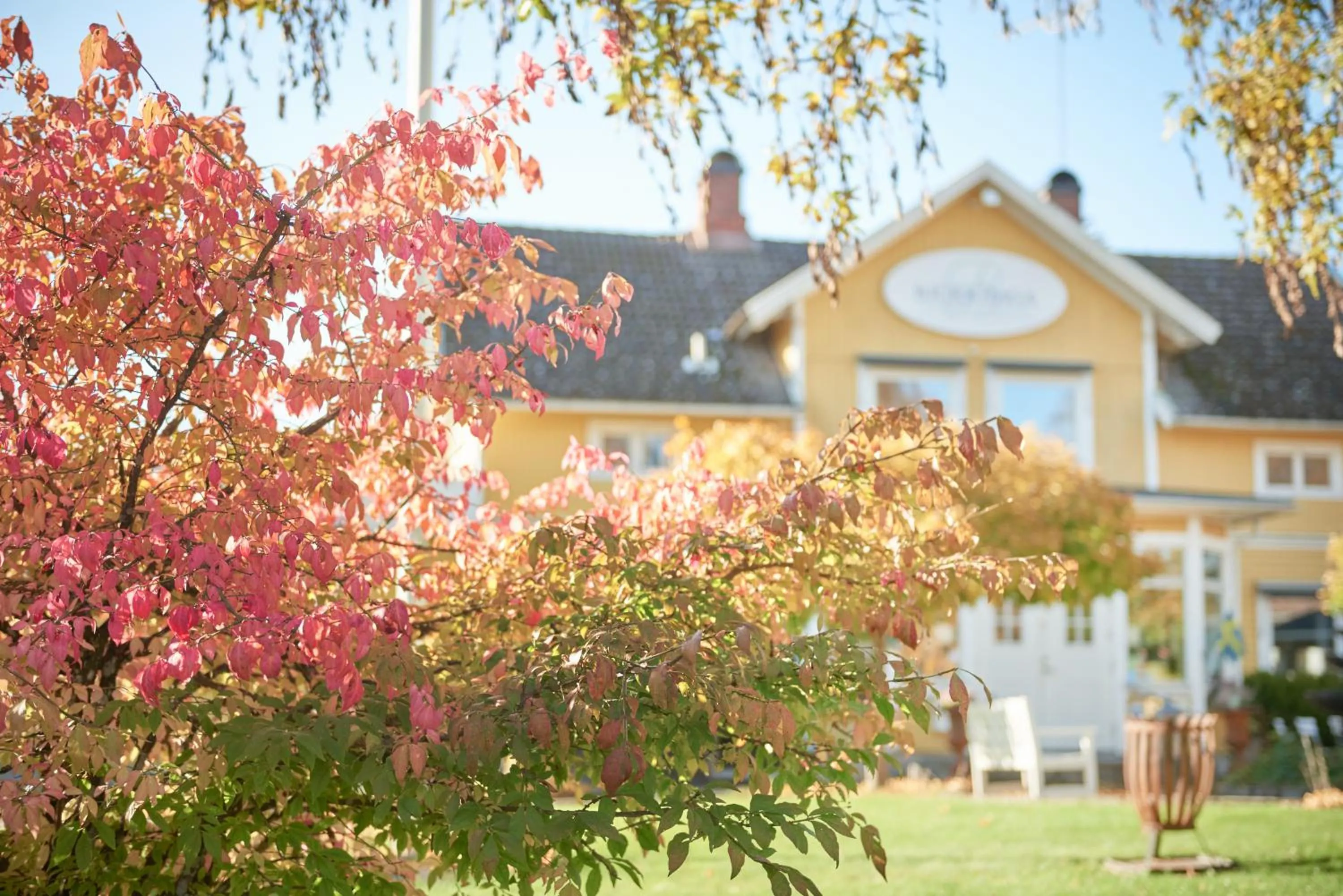 Property building in Hotell Björkhaga